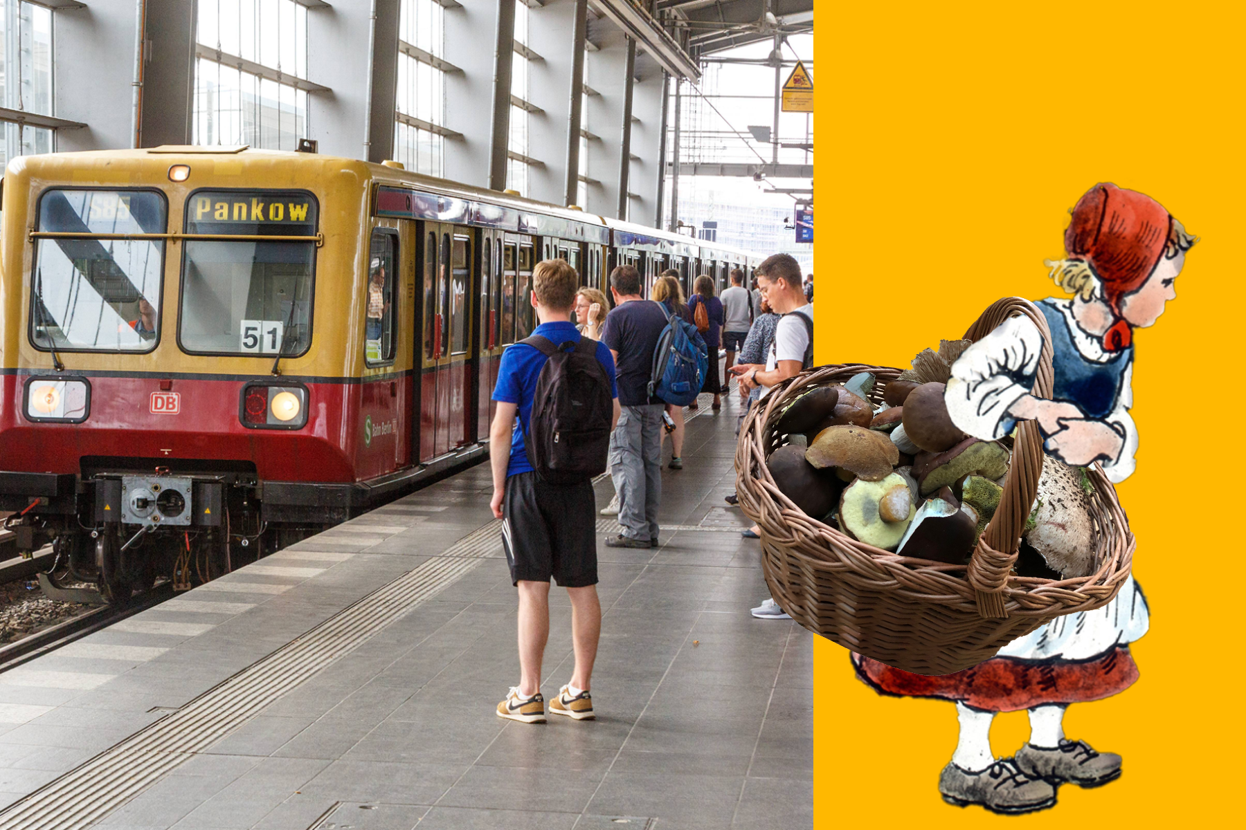 Bahnhof Berlin-Ostkreuz: Was ich erlebte, als ich hier mit einem Korb Pilze am Arm umstieg
