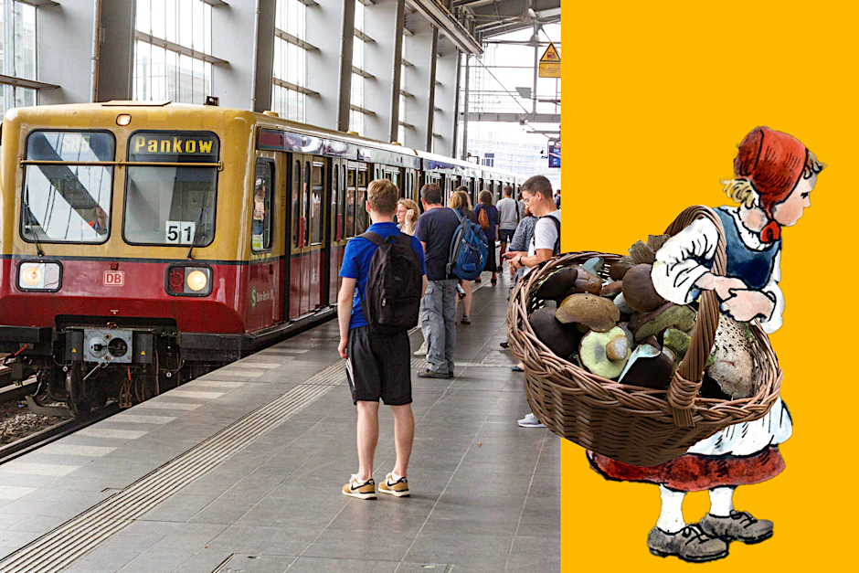 Der bewusste Korb mit allerlei Pilzen.
