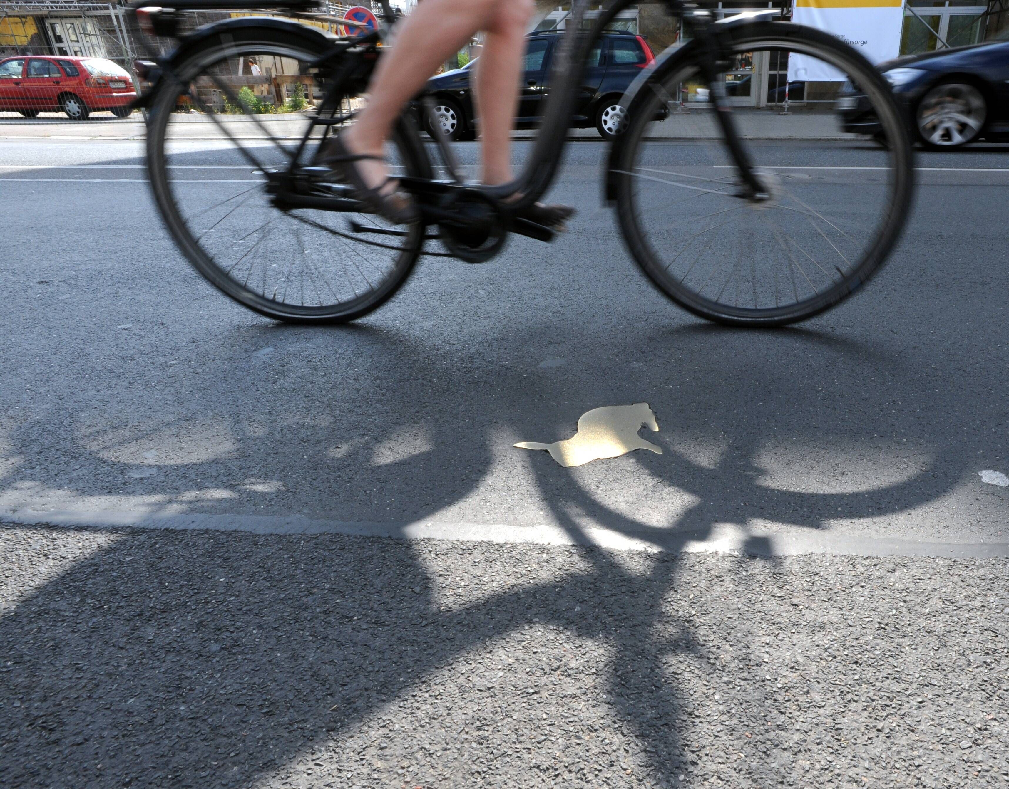 Image - Hälfte ist weg! Wann werden die Kaninchen auf der Chausseestraße ersetzt?