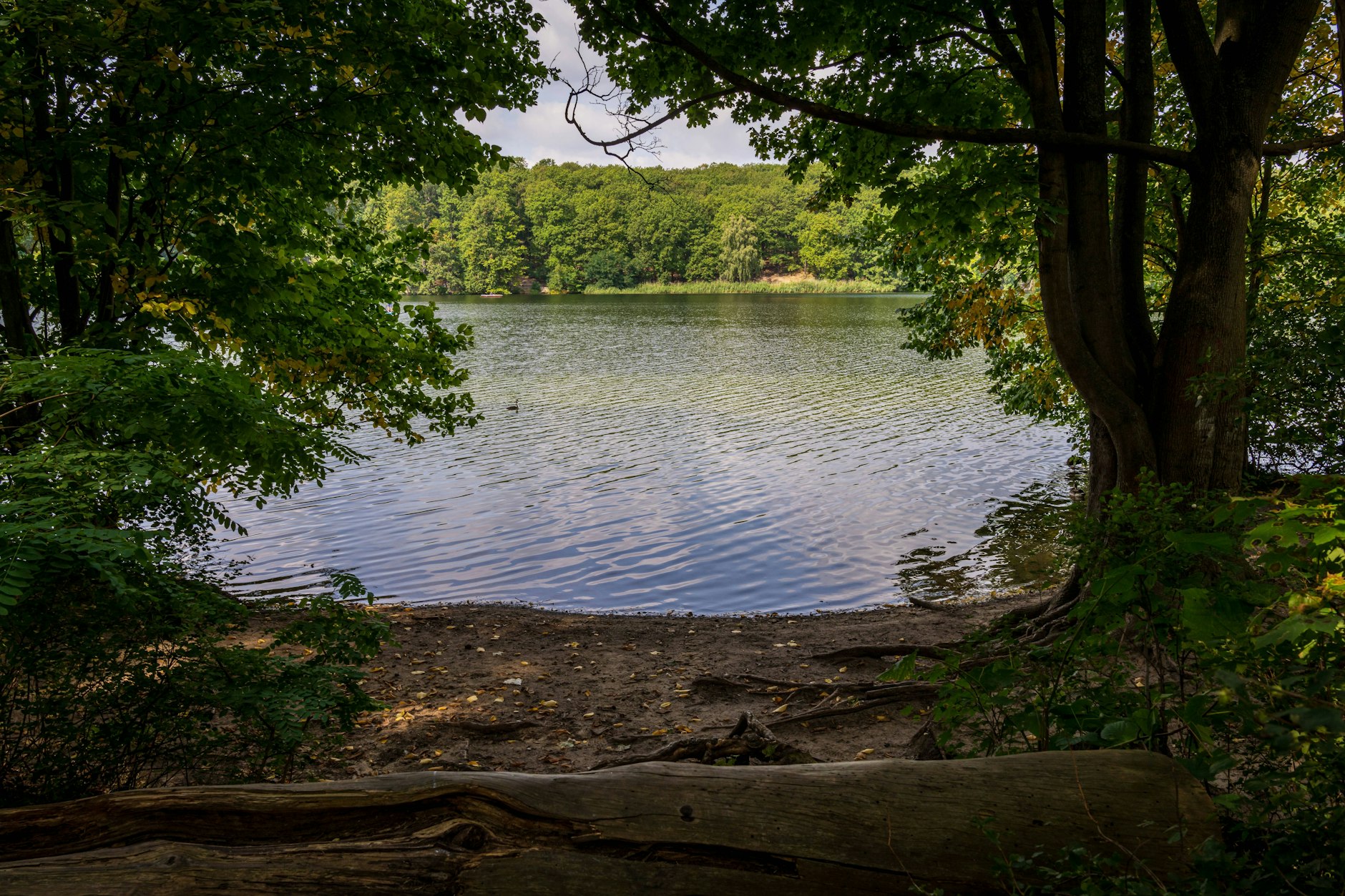Der Schlachtensee in Berlin. An einer entlegenen Uferstelle soll im Juni eine 14-Jährige von einer Gruppe Männer vergewaltigt worden sein.