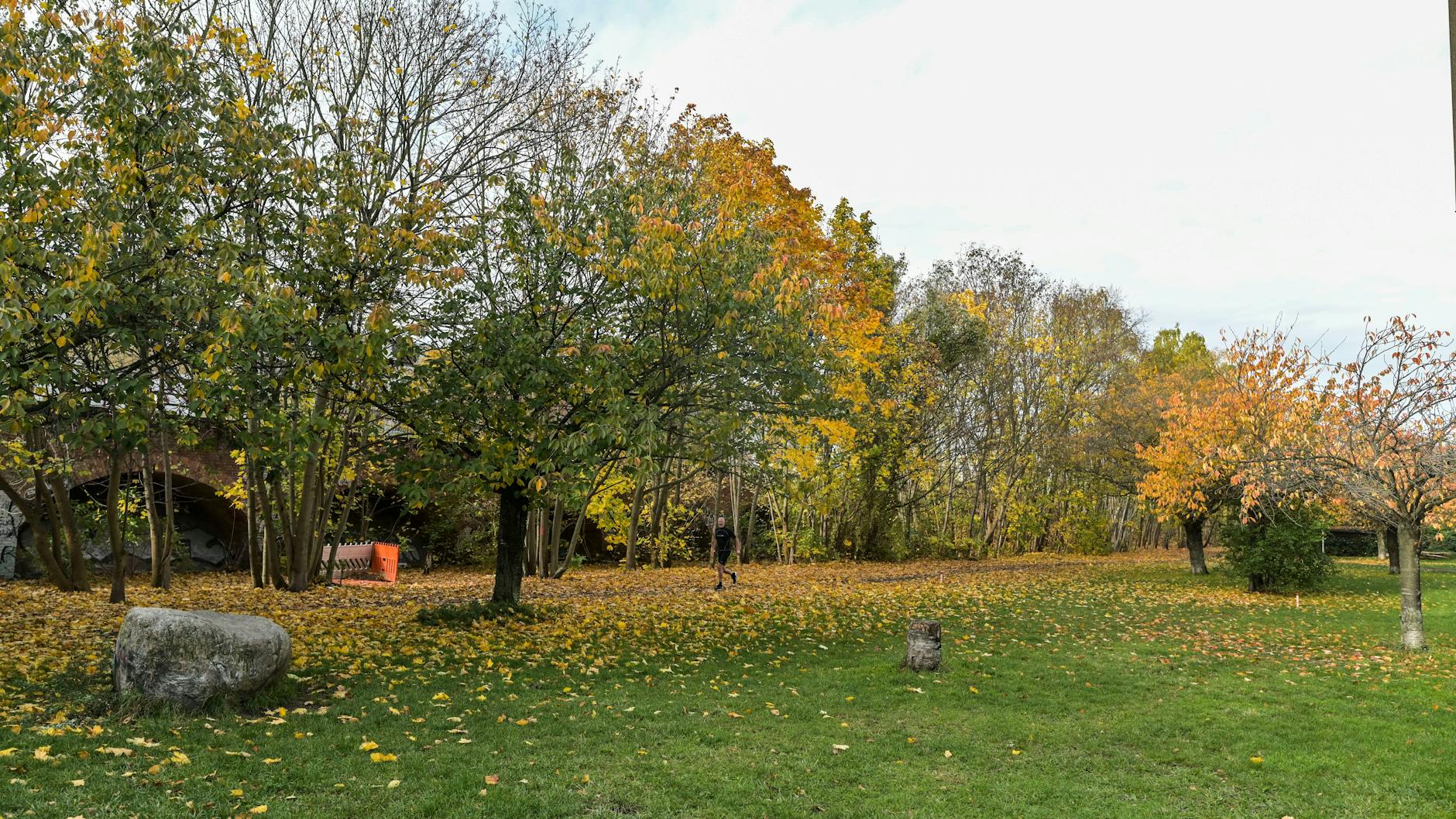 Bis auf die Zierkirschen entlang des Mauerwegs sollen alle Bäume und Gewächse weichen.
