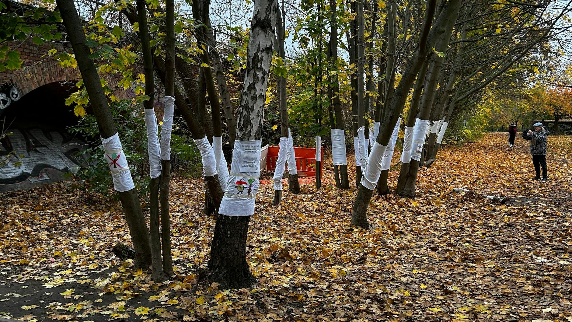 Mit einer Kunstaktion wollen die Anwohner auf den drohenden Kahlschlag aufmerksam machen. 