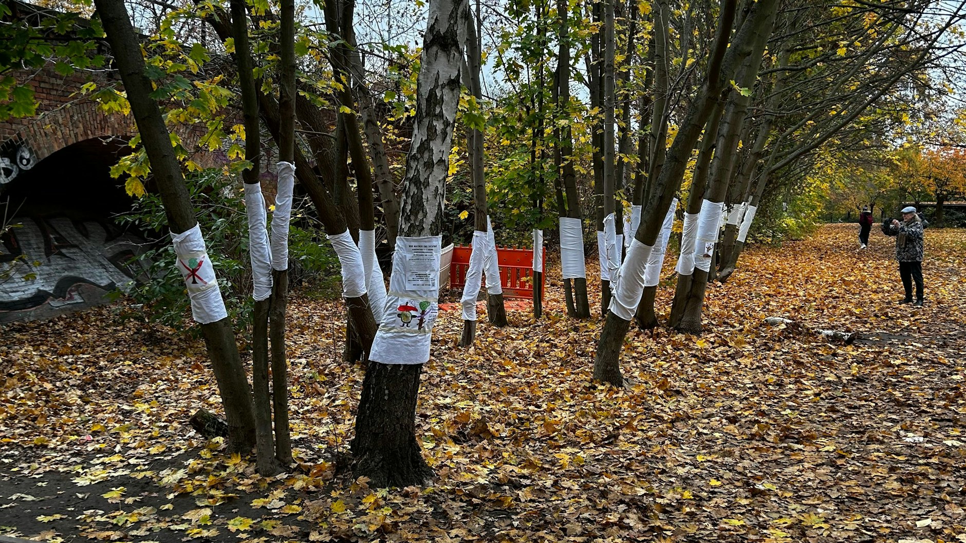 Mit einer Kunstaktion wollen die Anwohner auf den drohenden Kahlschlag aufmerksam machen.&nbsp;