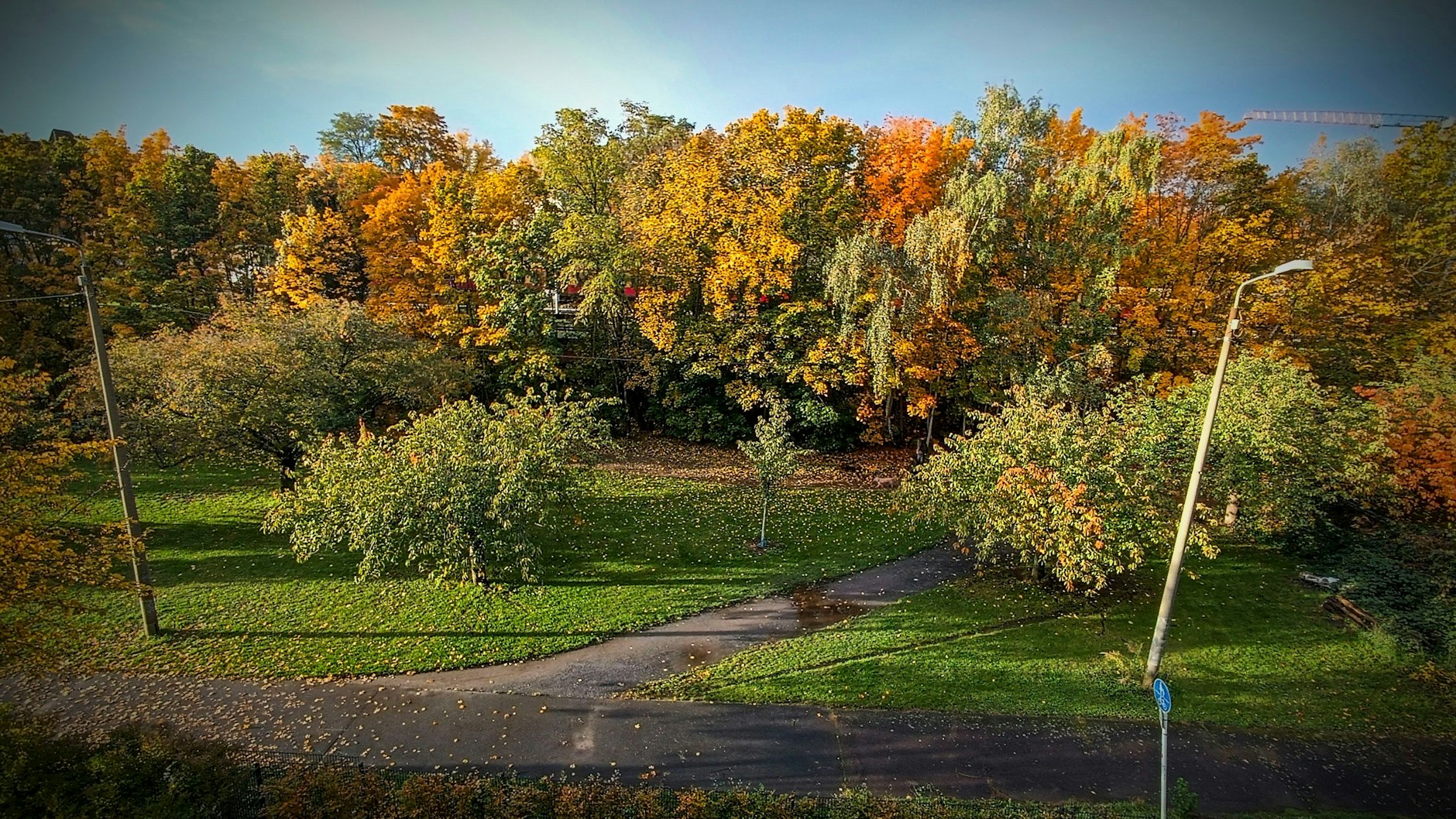 Sämtliche Bäume entlang des Bahndamms sind bedroht. Tabula rasa, weil es so einfacher ist.&nbsp;