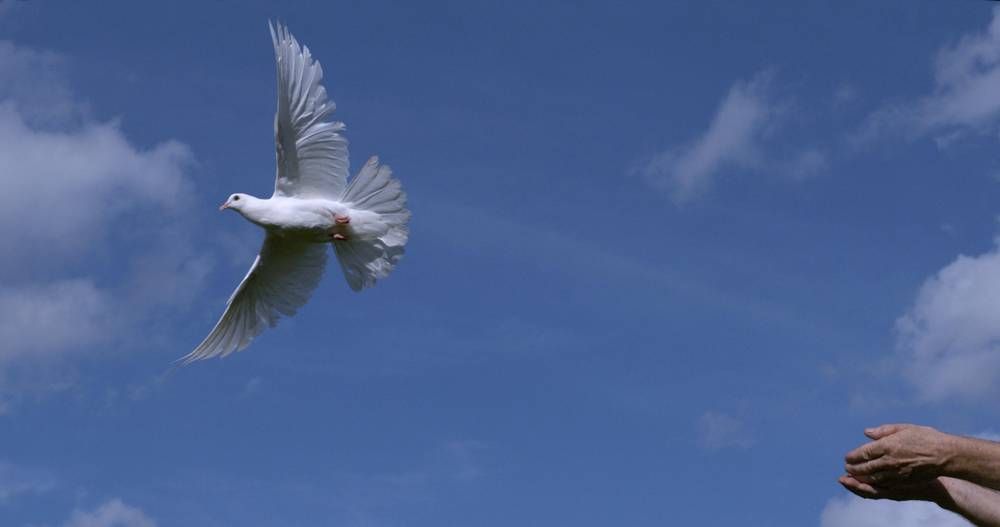 Friedensaktivist Reiner Braun: „Wir müssen aus diesem Ukraine-Loch herauskommen“