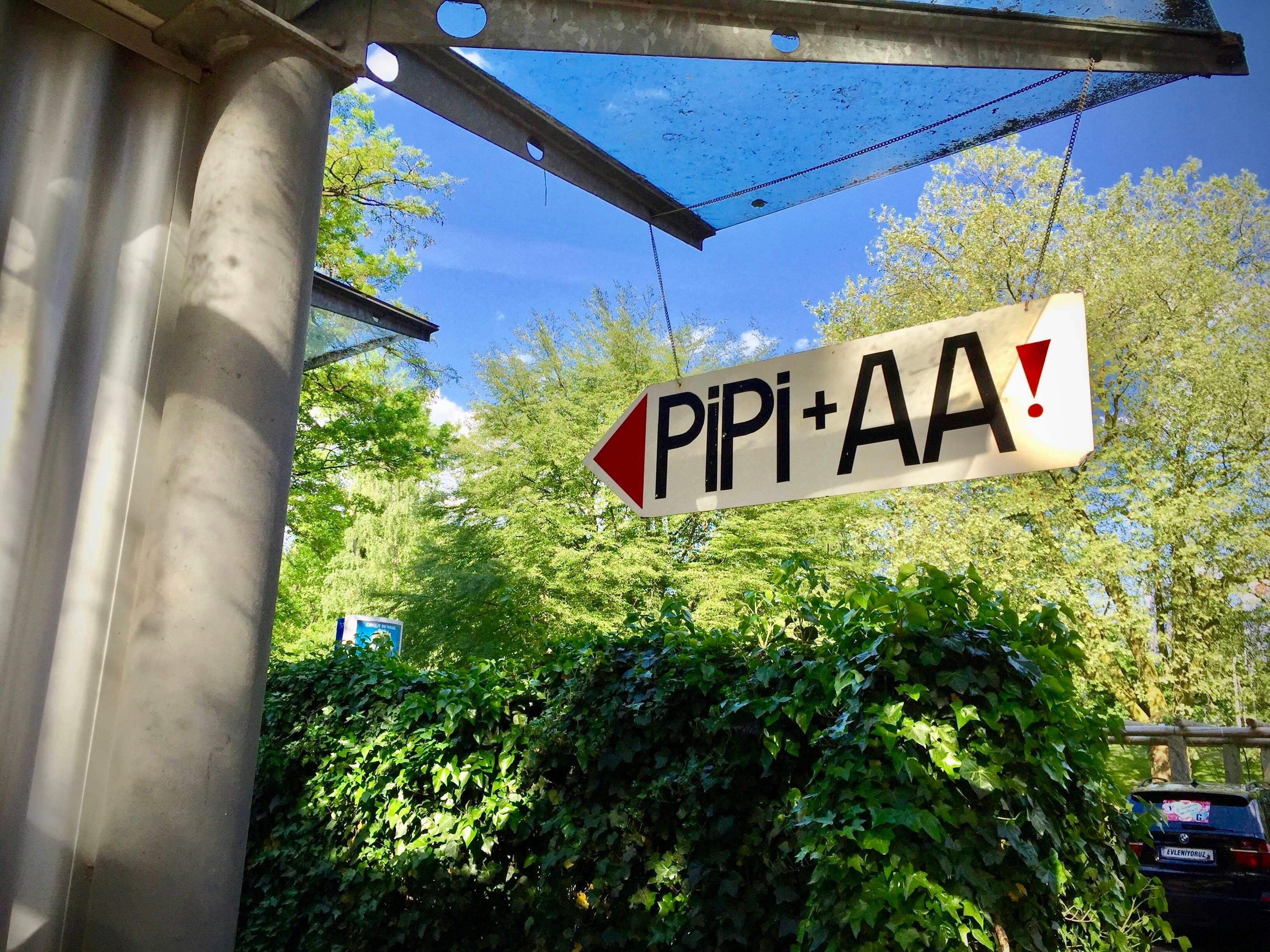 Was kostet eine Klospülung? SO VIEL geben Sie pro Jahr dafür aus!