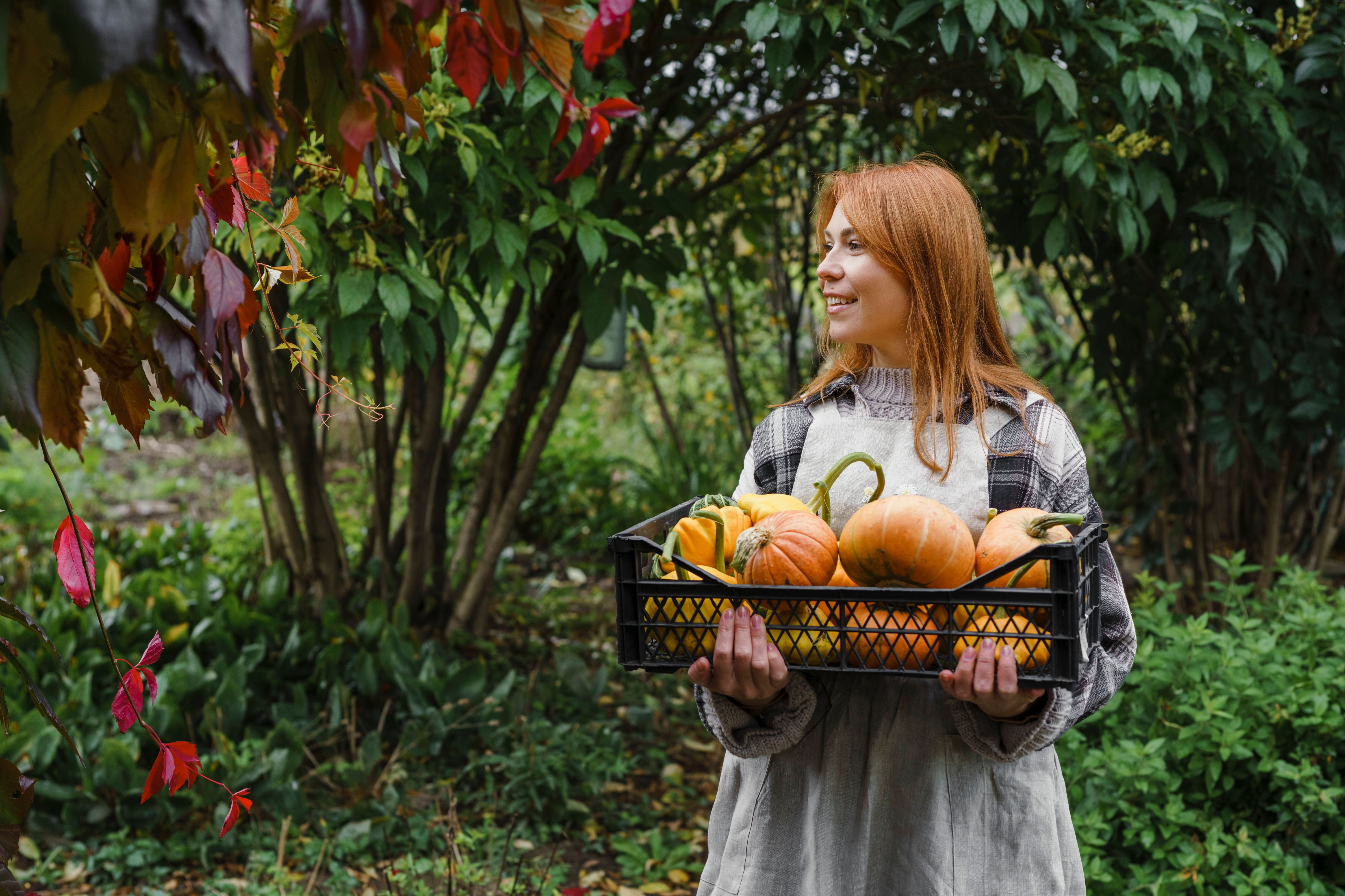 Horoskop für heute: Dienstag, 28. November 2023 – für alle Sternzeichen