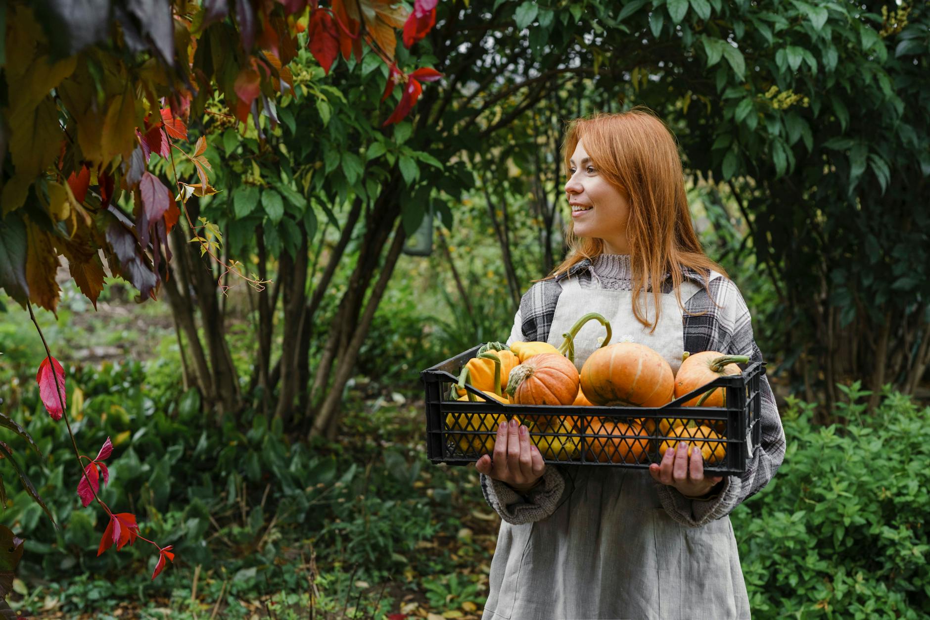 Was verrät Ihr Horoskop über Ihre heutigen Chancen?