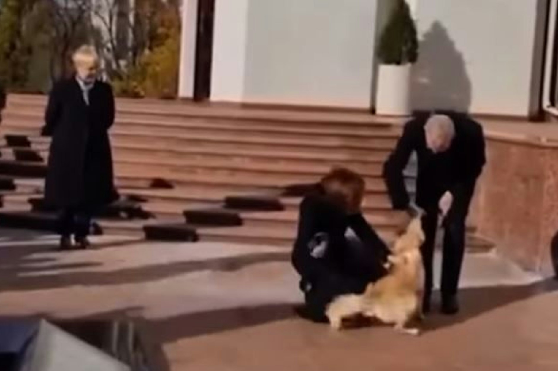Hier schnappt der Hund zu: Van der Bellen trug eine kleine Wunde davon.