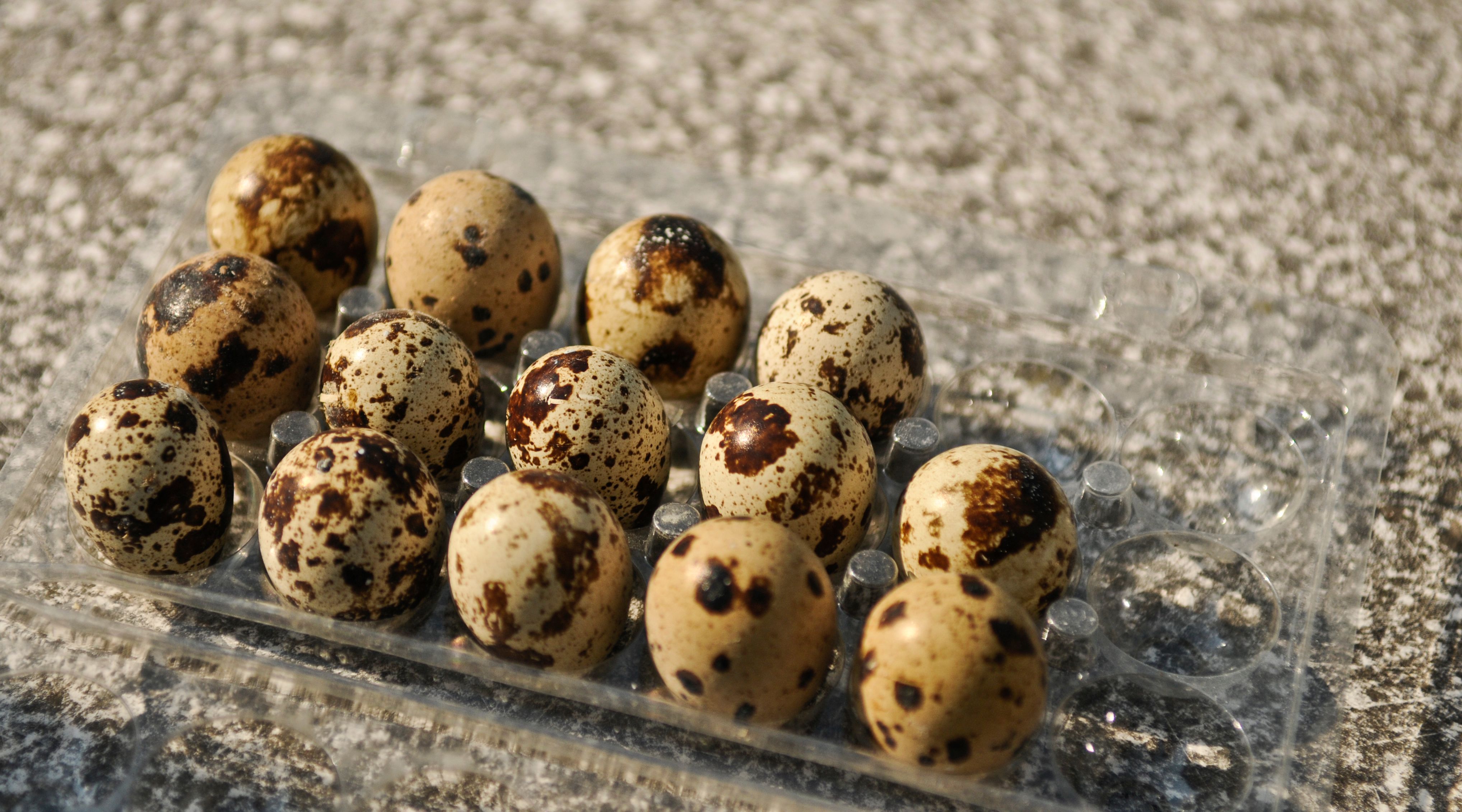 Rezept der Woche: Wachteleier mit buntem Herbstgemüse