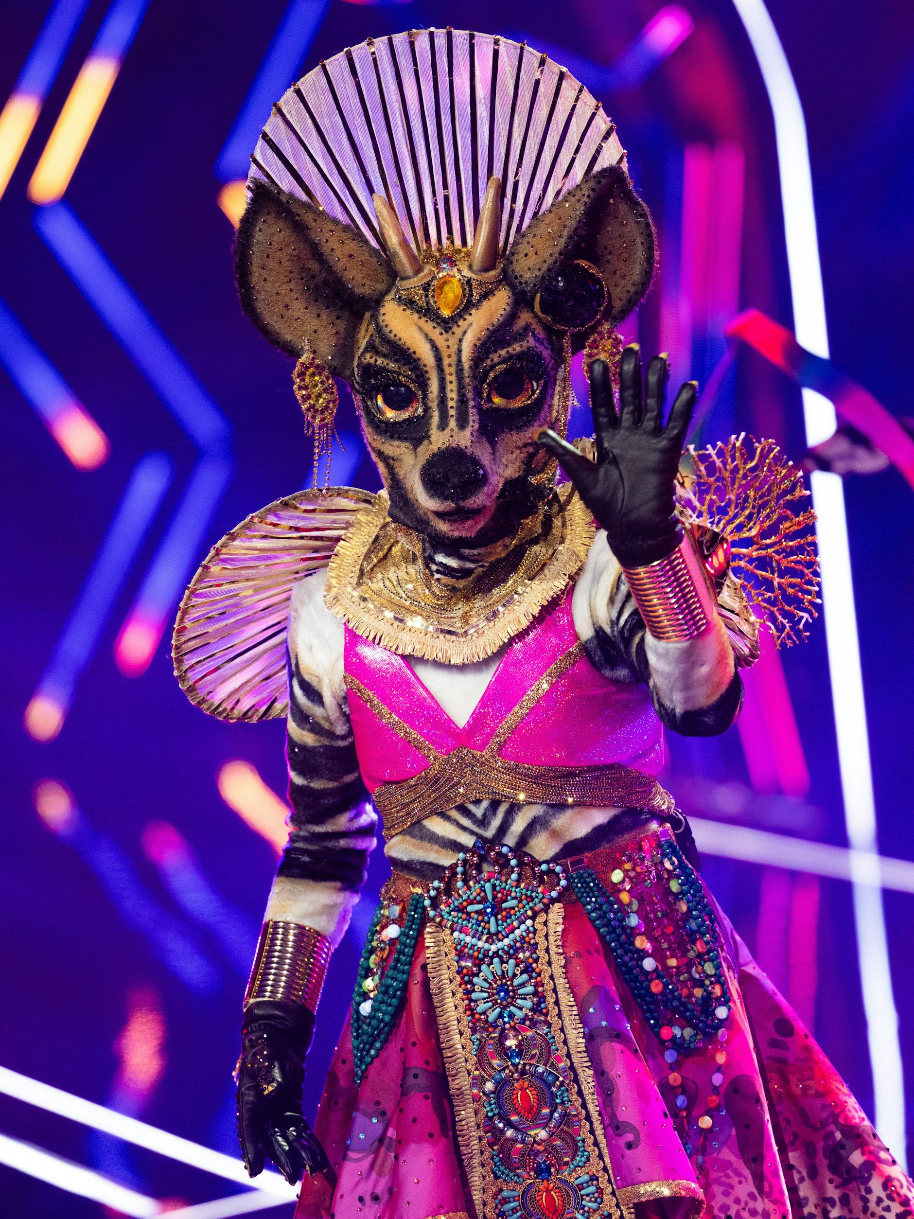 Das Okapi musste „Masked Singer“ verlassen.