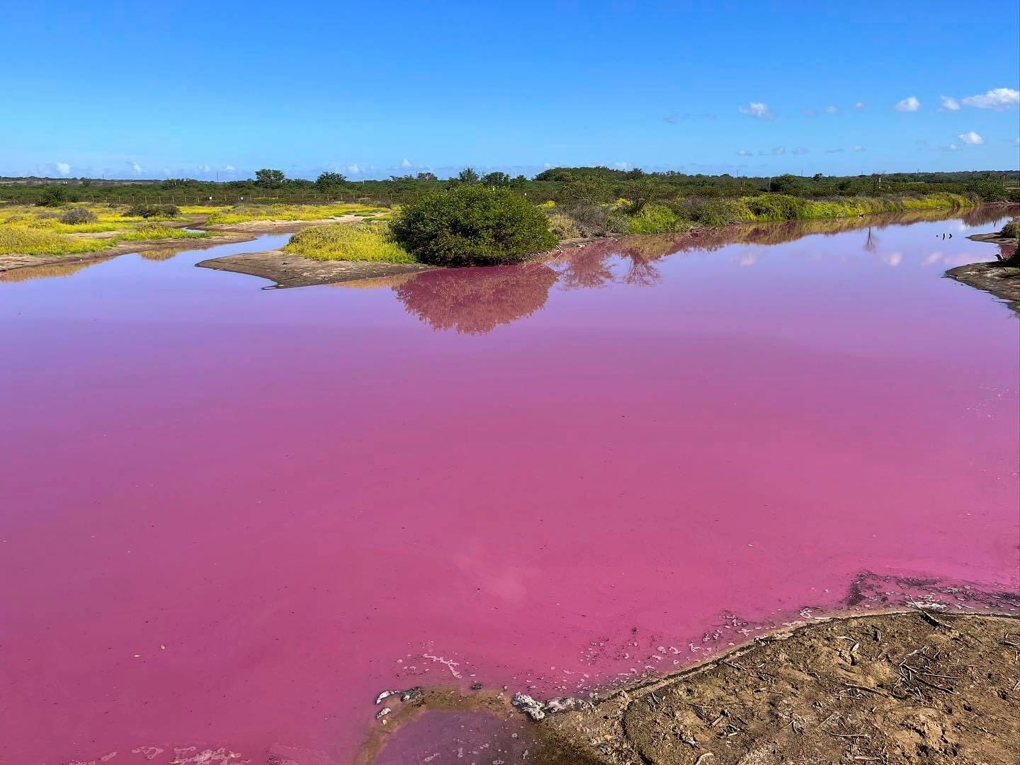Image - Experten geschockt: See auf Hawaii ist plötzlich knall-pink