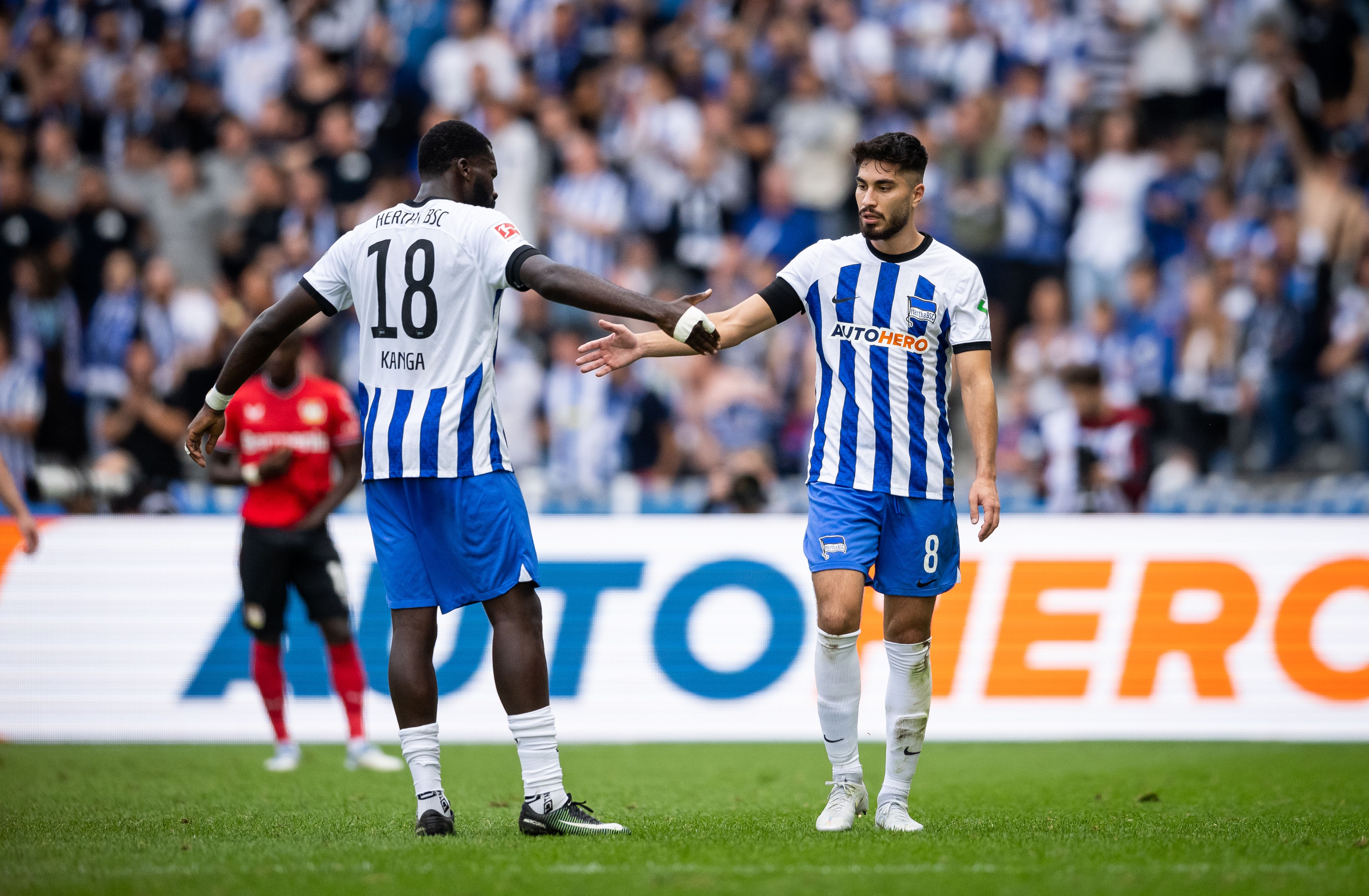 Image - Ausverkauf bei Hertha BSC: Auch die Leihspieler bringen keine Millionen!