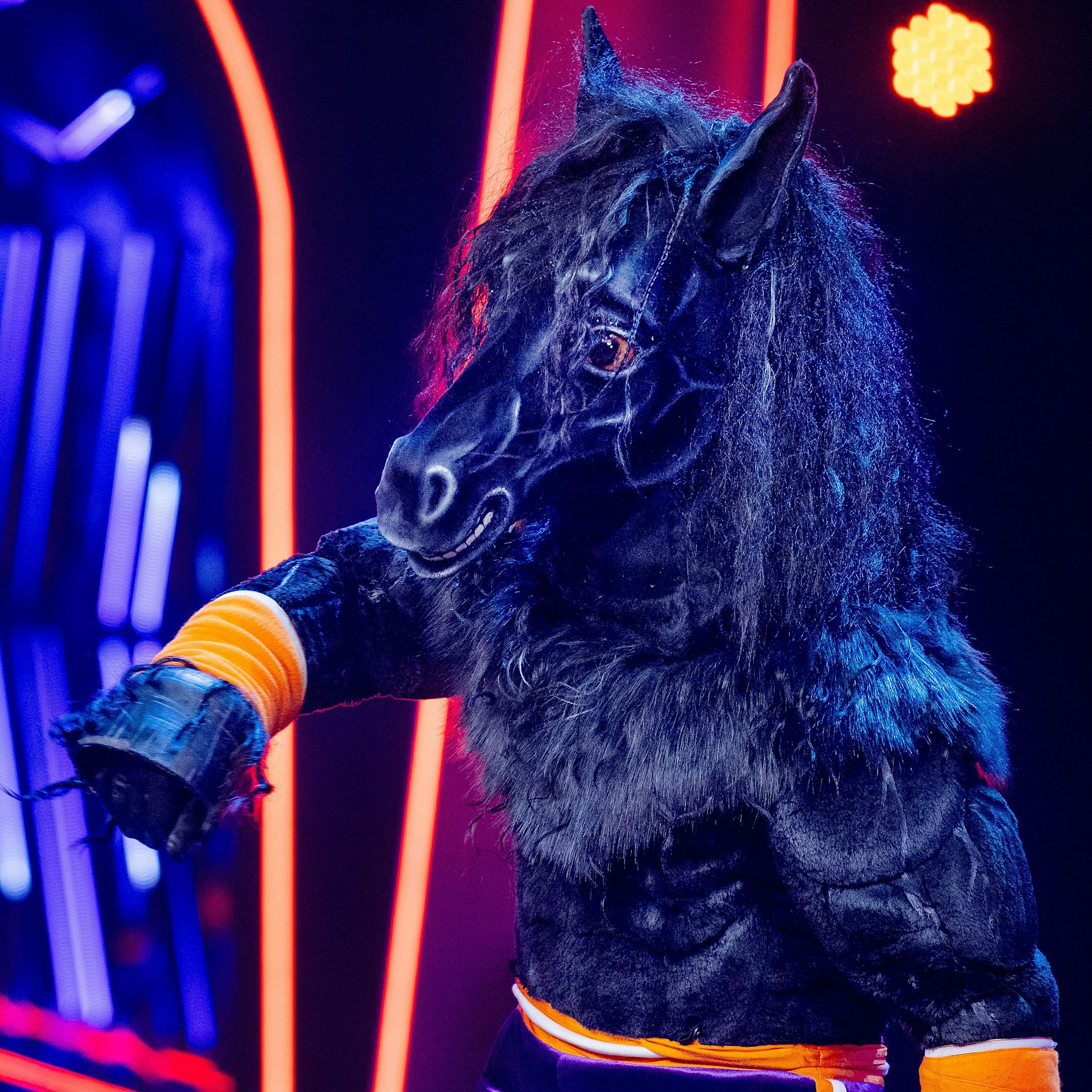 Sensation bei „Masked Singer“: DAS gab es in der Kostüm-Show nur selten