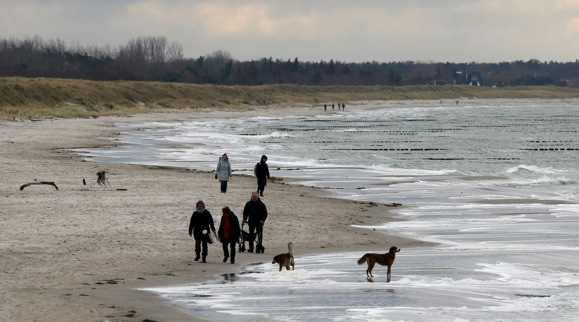 Spätherbst an der Ostsee: Spaziergänger sind auf der Halbinsel Fischland (Mecklenburg-Vorpommern) unterwegs.  
