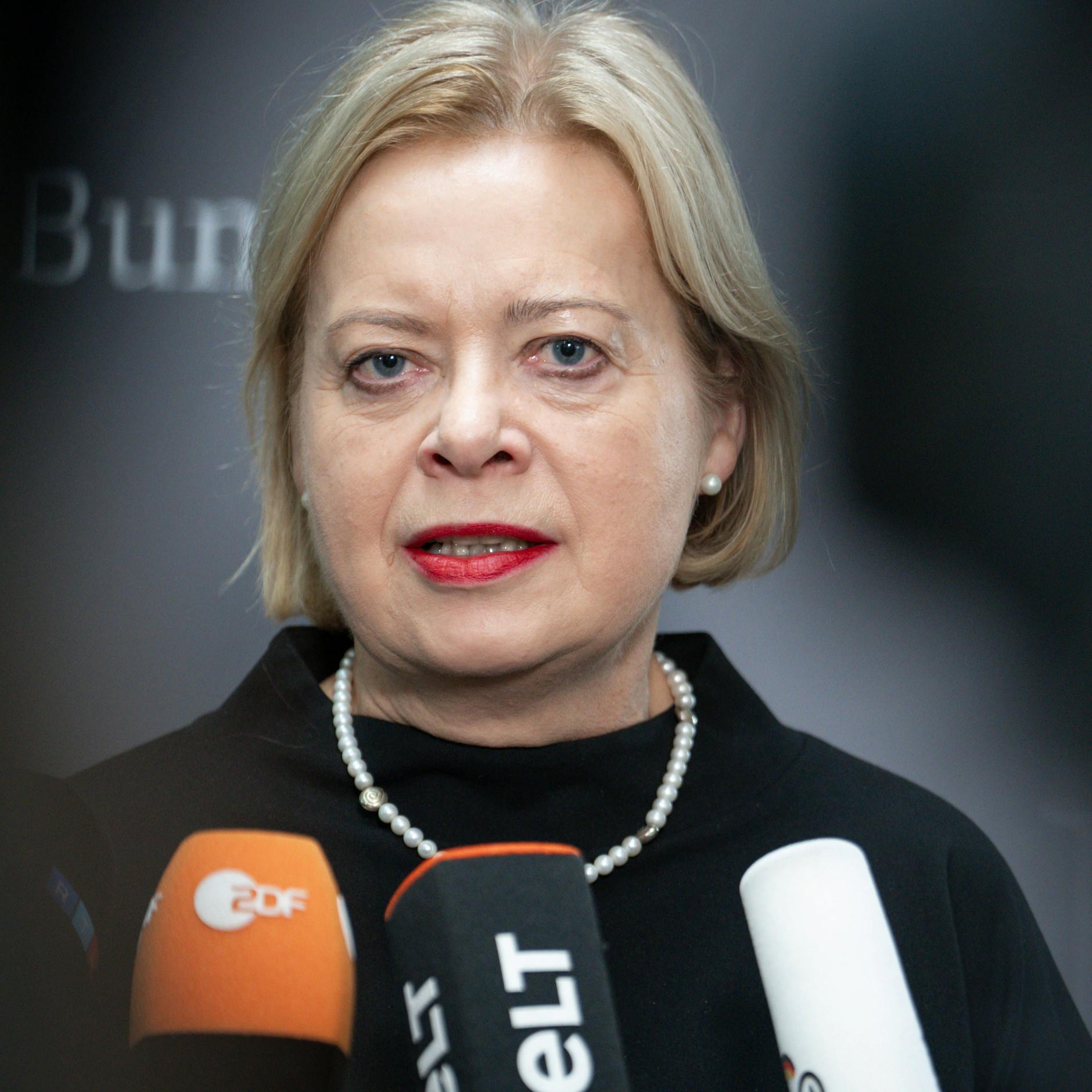 Image - Haushaltssperre: Linke hält Neuwahlen für möglich, AfD fordert Ampel-Rücktritt