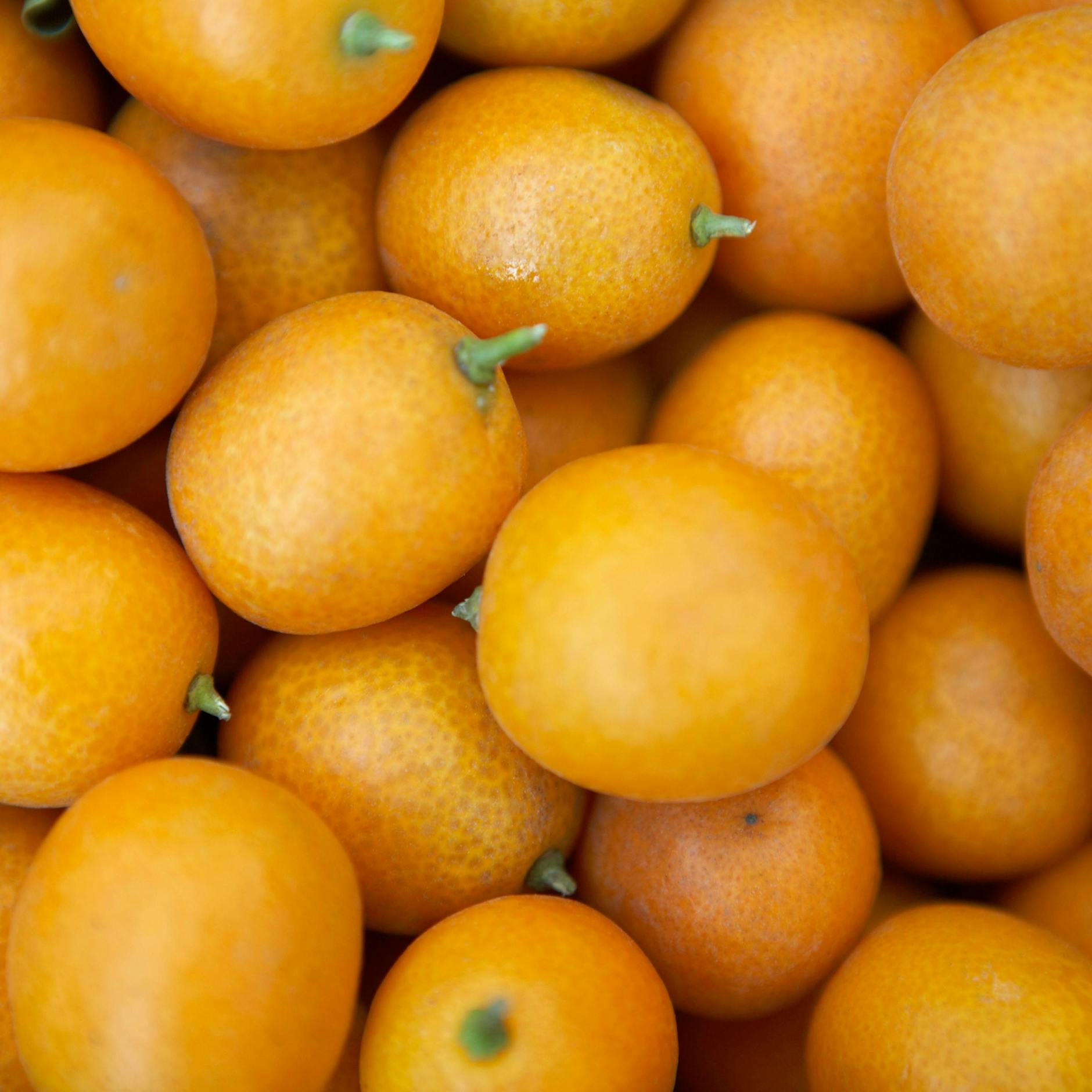 Kumquats sind exotische Früchte mit einem ganz besonderen Geschmack.