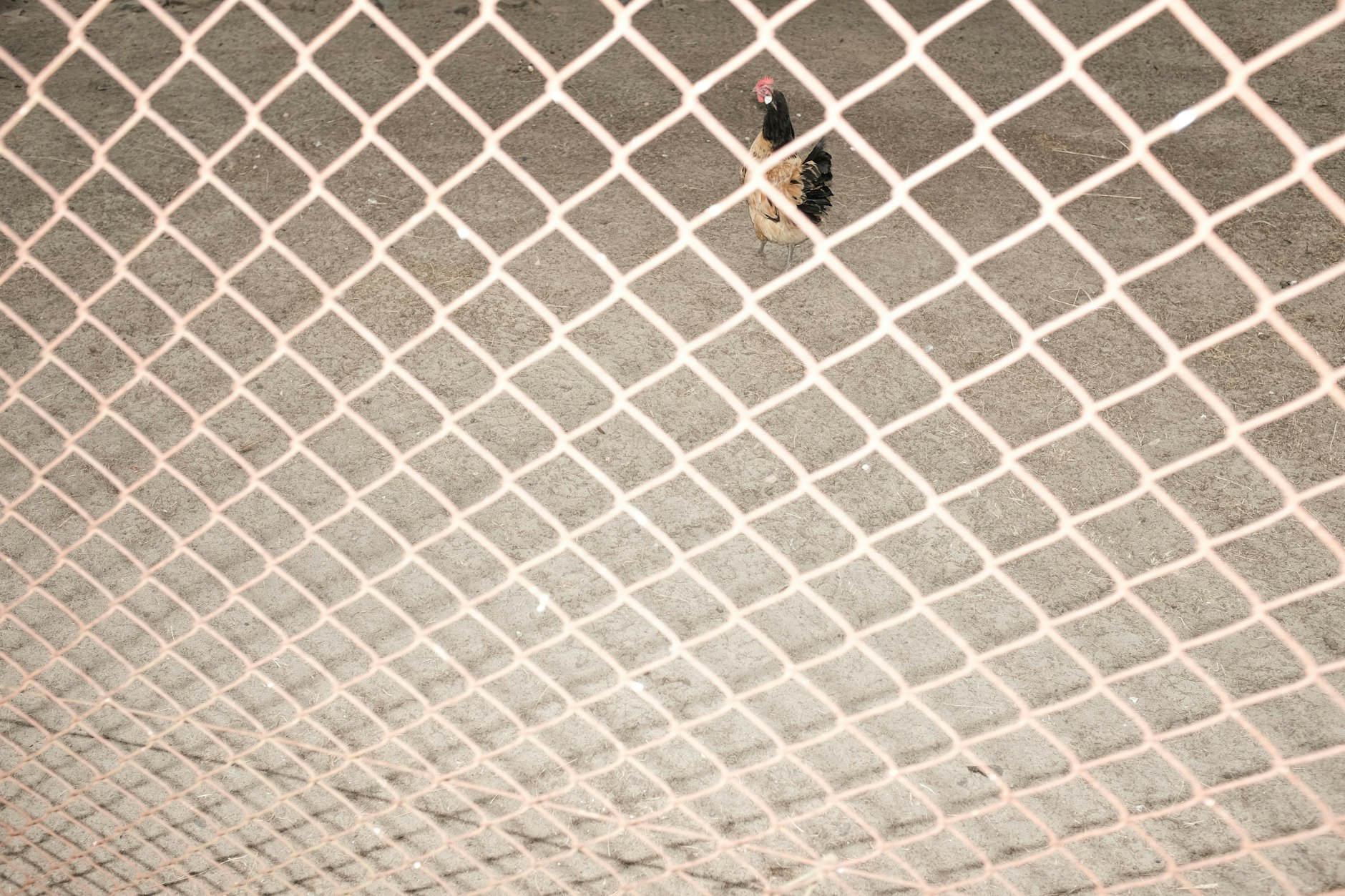 Die sogenannte Gentrifizierung muss die Dörfer nicht veröden lassen.