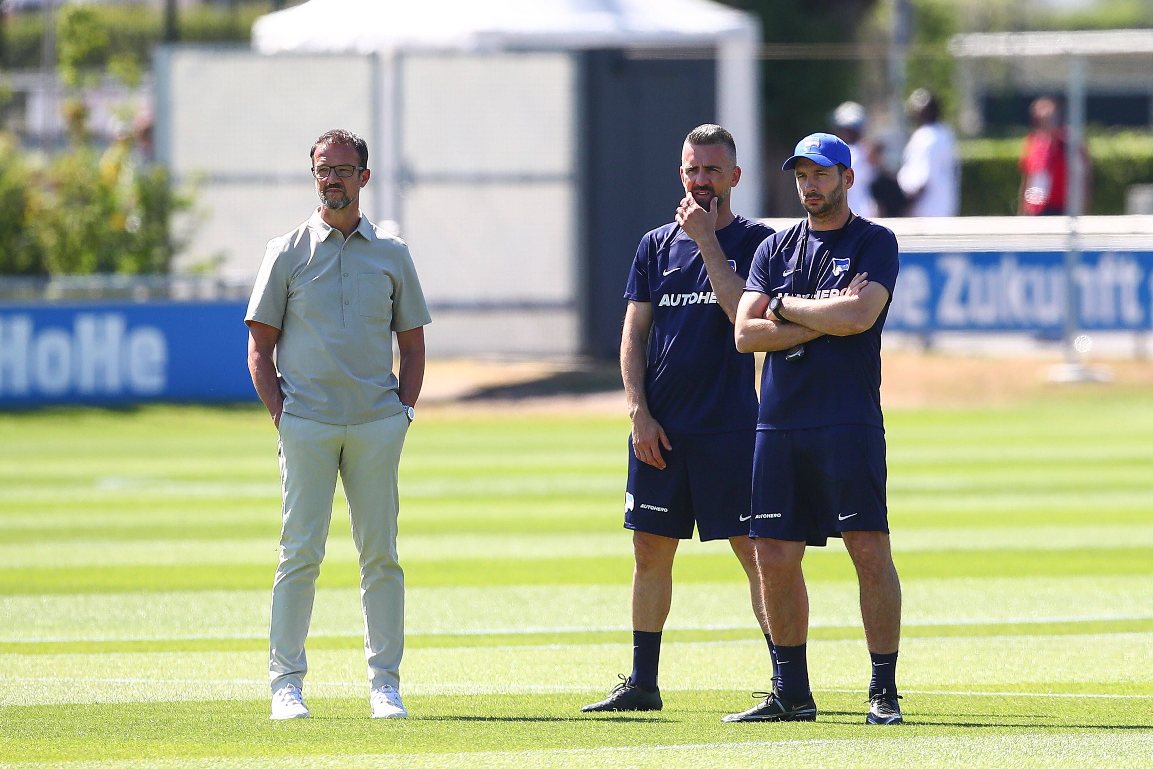 Image - Hertha BSC: Vedad Ibisevic geht mit Sandro Schwarz nach New York