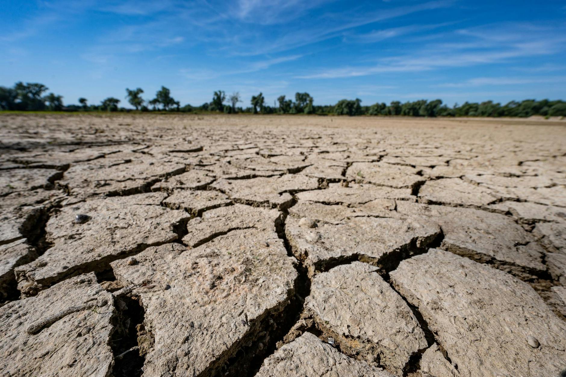 Insgesamt werden die Sommer in Deutschland trockener. 