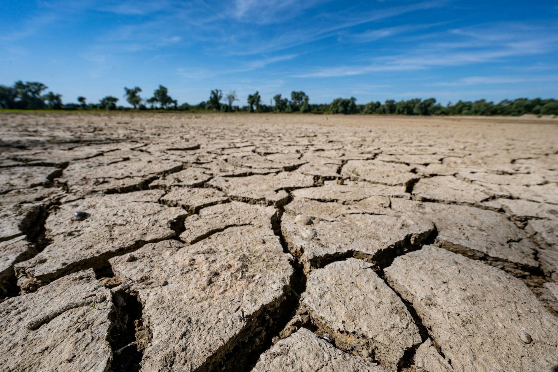 Insgesamt werden die Sommer in Deutschland trockener.&nbsp;