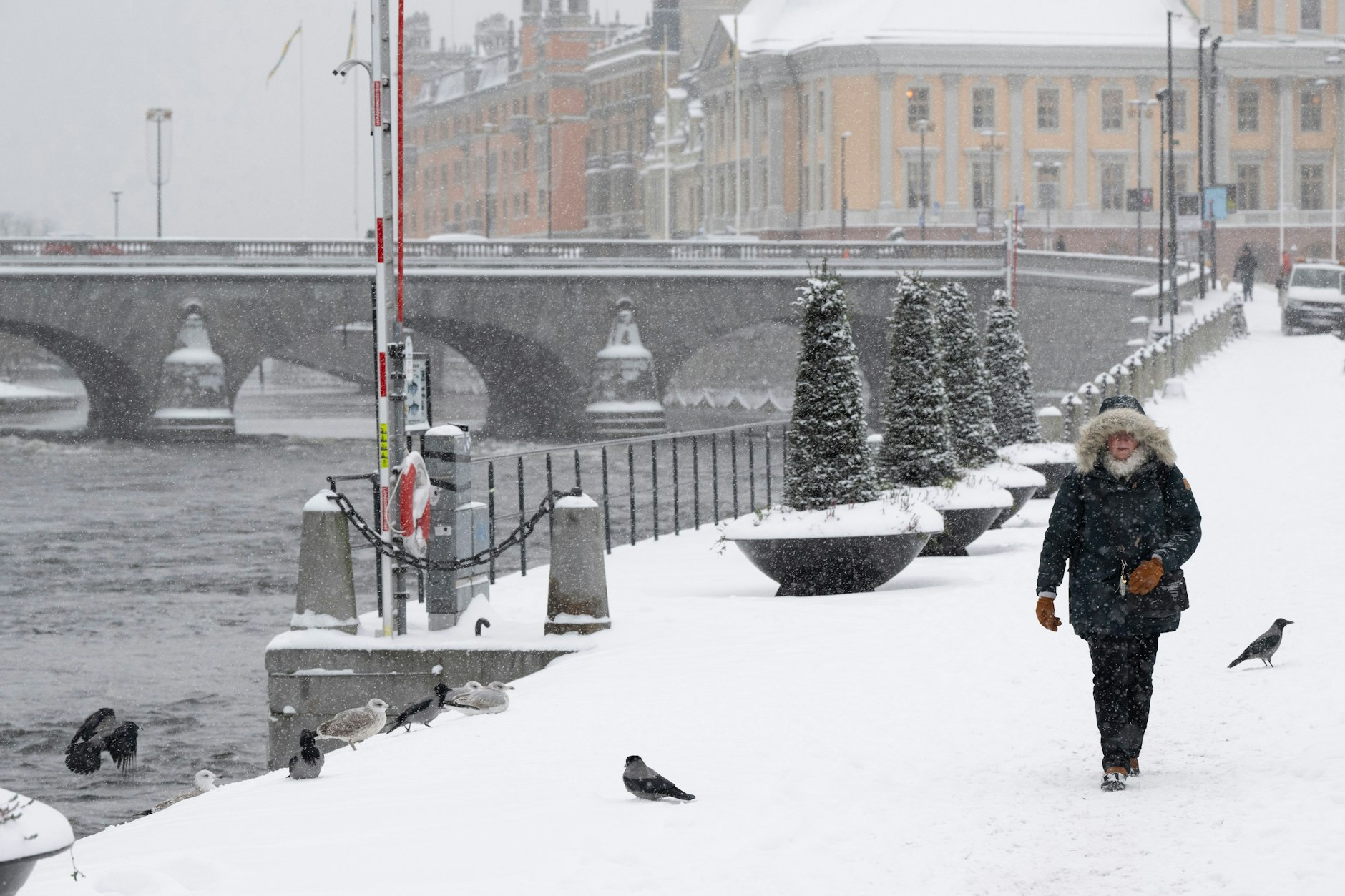 Eine Frau geht bei Schneefall eine verschneite Straße in der Nähe des schwedisches Regierungssitzes Rosenbad entlang.