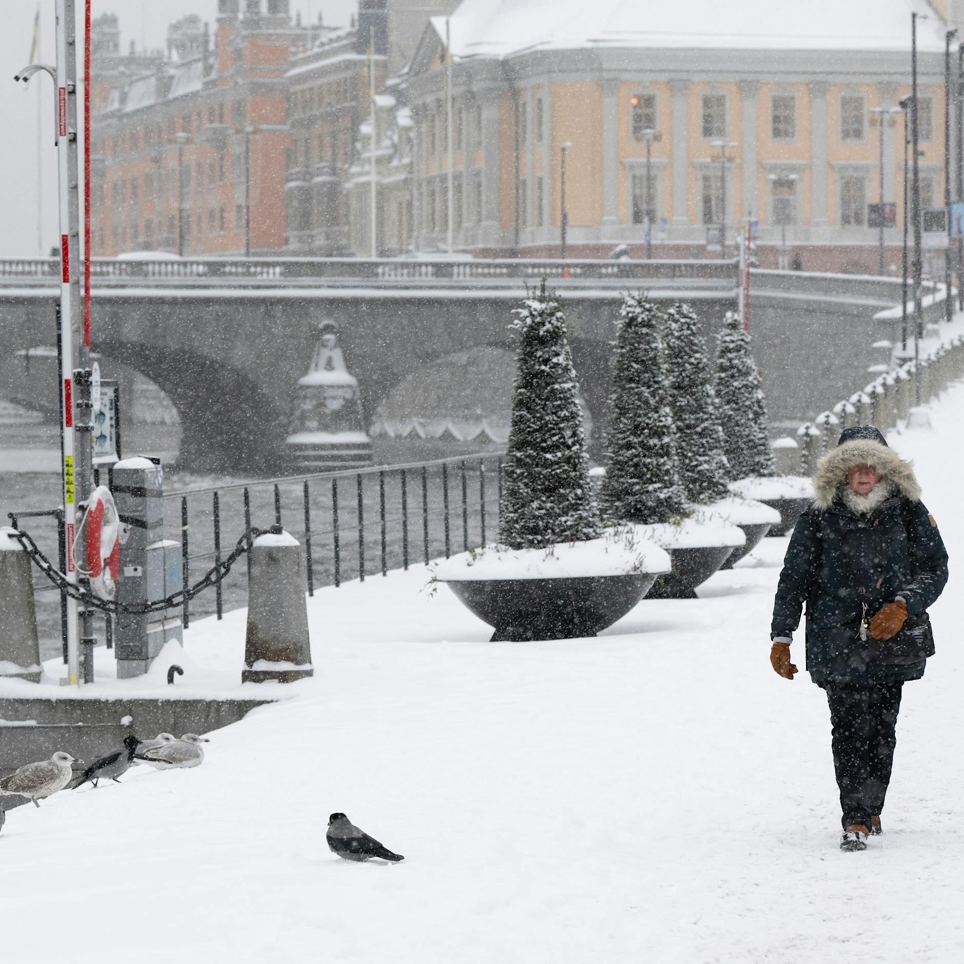 Vier Brüder hängen mutmaßlichen Vergewaltiger der Freundin - verurteilt!