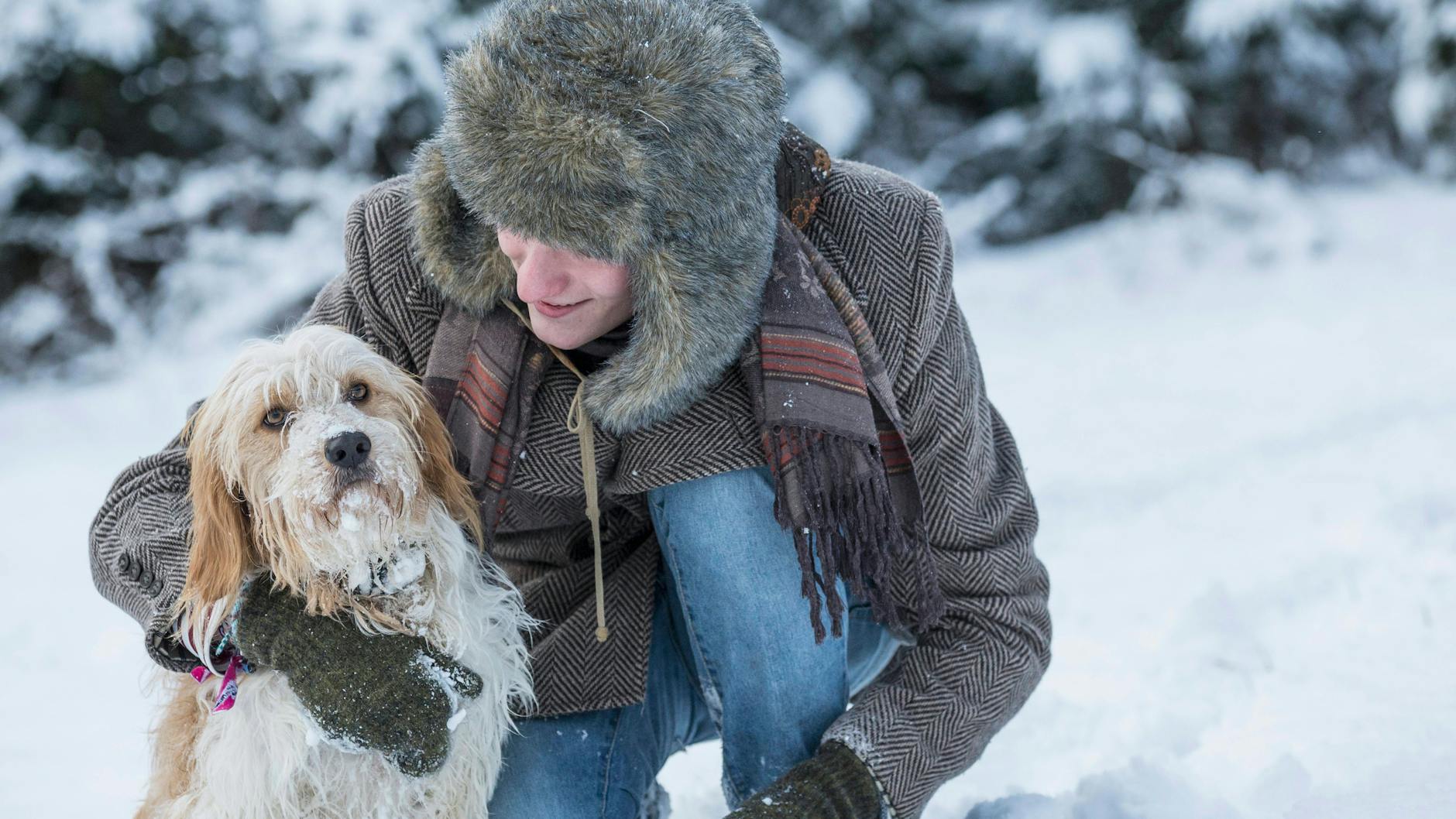 Ein schöner Winter-Spaziergang macht Hunden und ihren Herrchen und Frauchen Spaß - doch es lauern Gefahren an der frischen Luft.