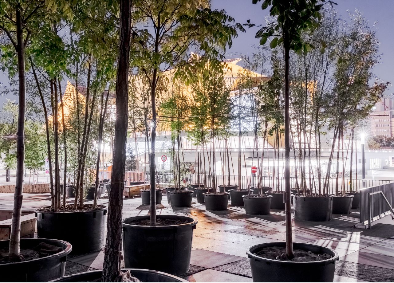 1. Advent: Hallo, Berliner, ölt eure Stimmen, das Kulturforum singt!