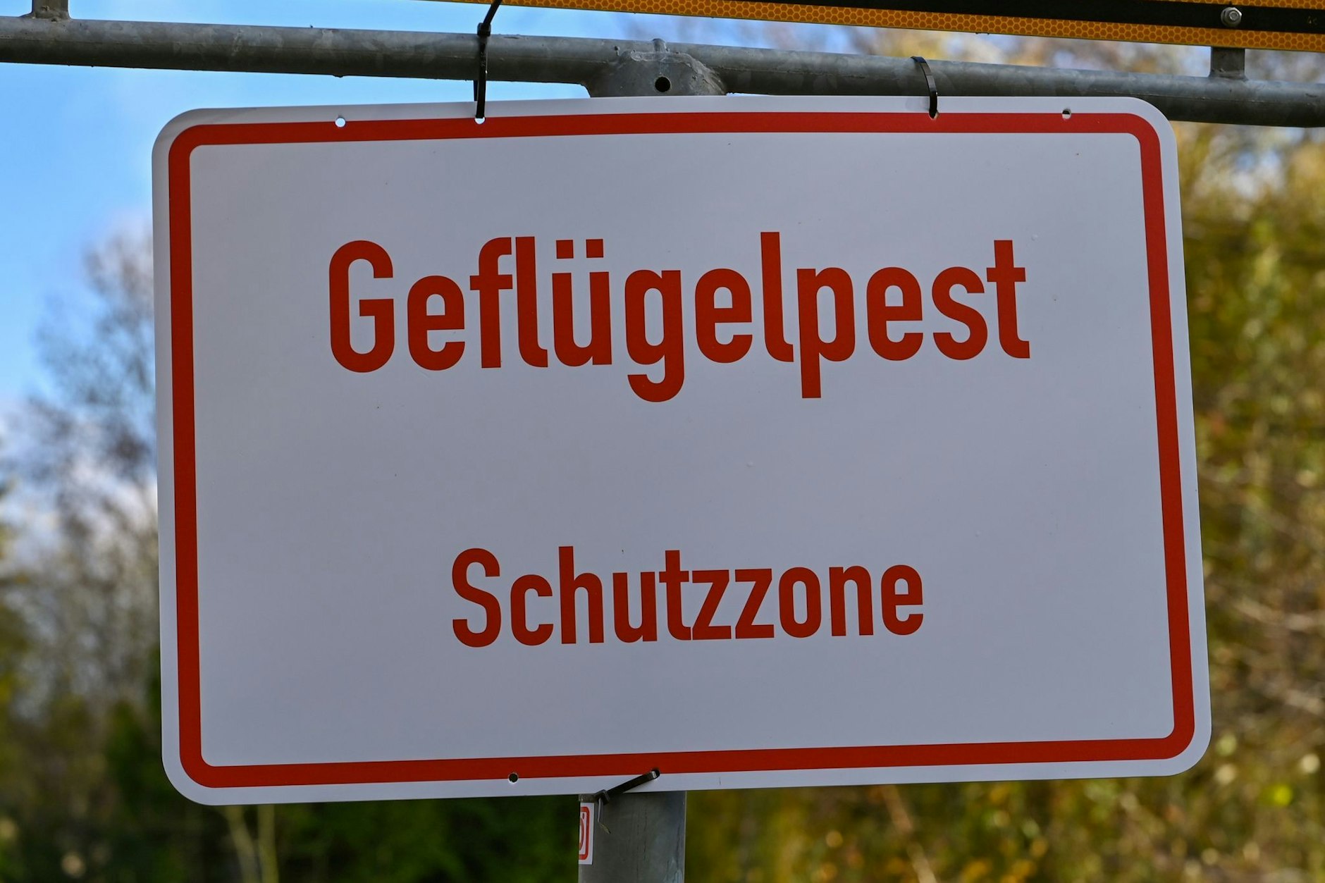 In einem Betrieb im Landkreis Ostprignitz-Ruppin wurde Geflügelpest festgestellt. Als Maßnahme wurde eine Schutzzone eingerichtet.