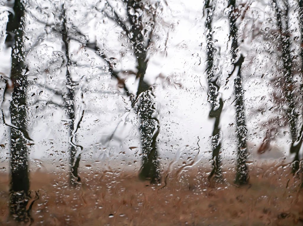 Der zweite Herbst nüchtern: Wie man auch mit 20 unbeschwipst durch den Tag kommt
