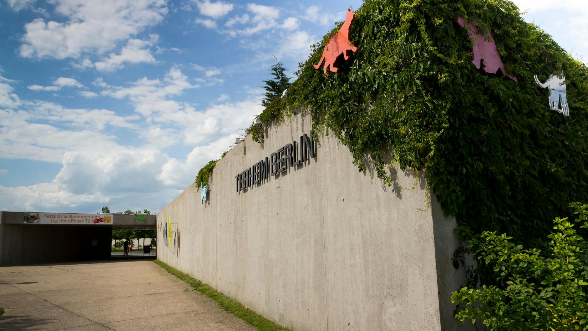 Das Tierheim liegt in Berlin-Falkenberg.