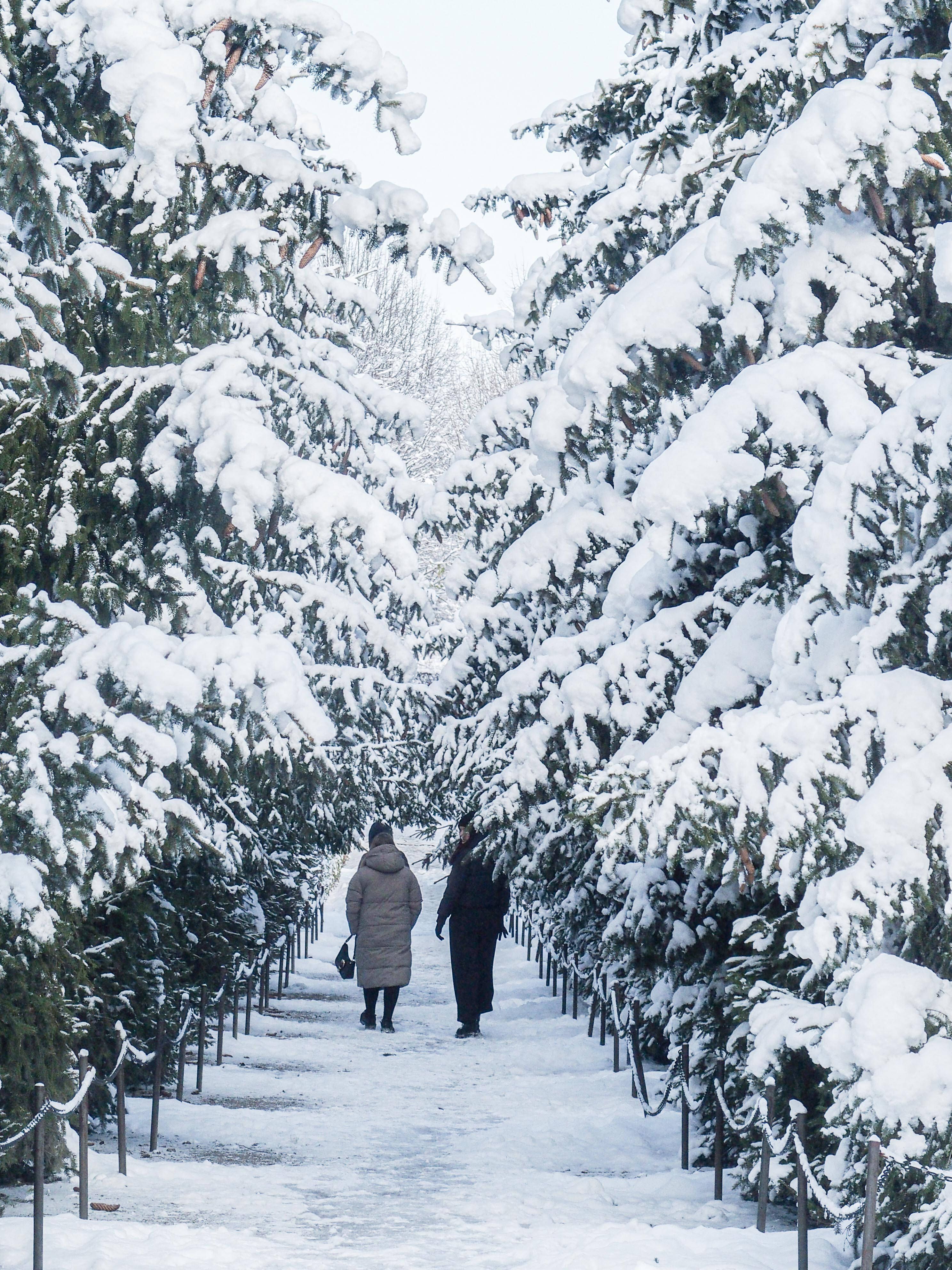 Krasse Wende beim Wetter! Sonne oder Schnee: War's das mit dem Winter?