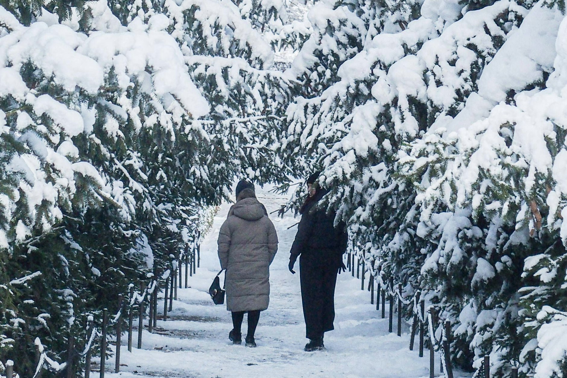 Herrlicher Schnee: Für viele Menschen in Deutschland und den Nachbarländern gab es bereits eine weiße Überraschung. Doch mehr Schnee kündigt sich momentan nicht an.