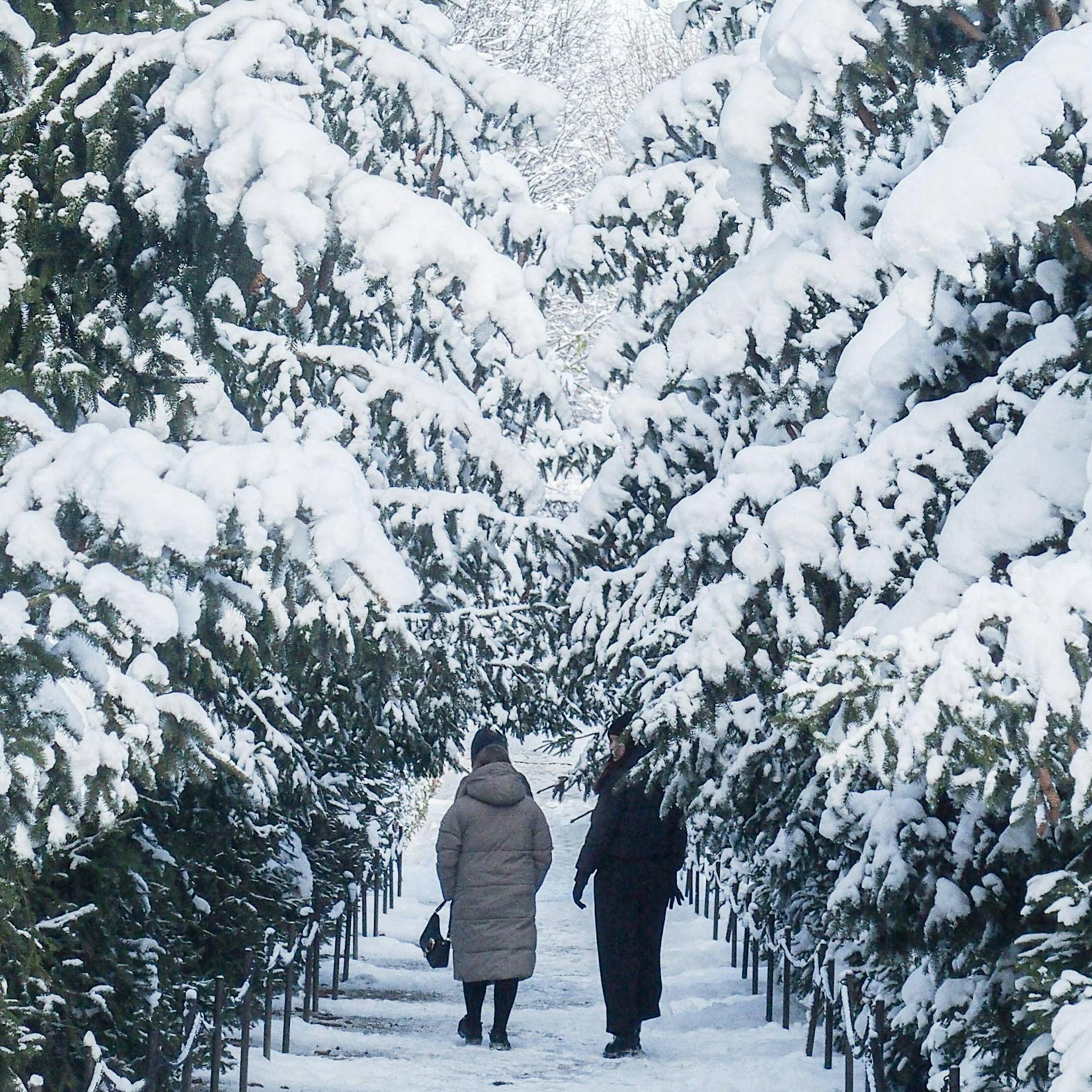 Krasse Wende beim Wetter! Sonne oder Schnee: War's das mit dem Winter?