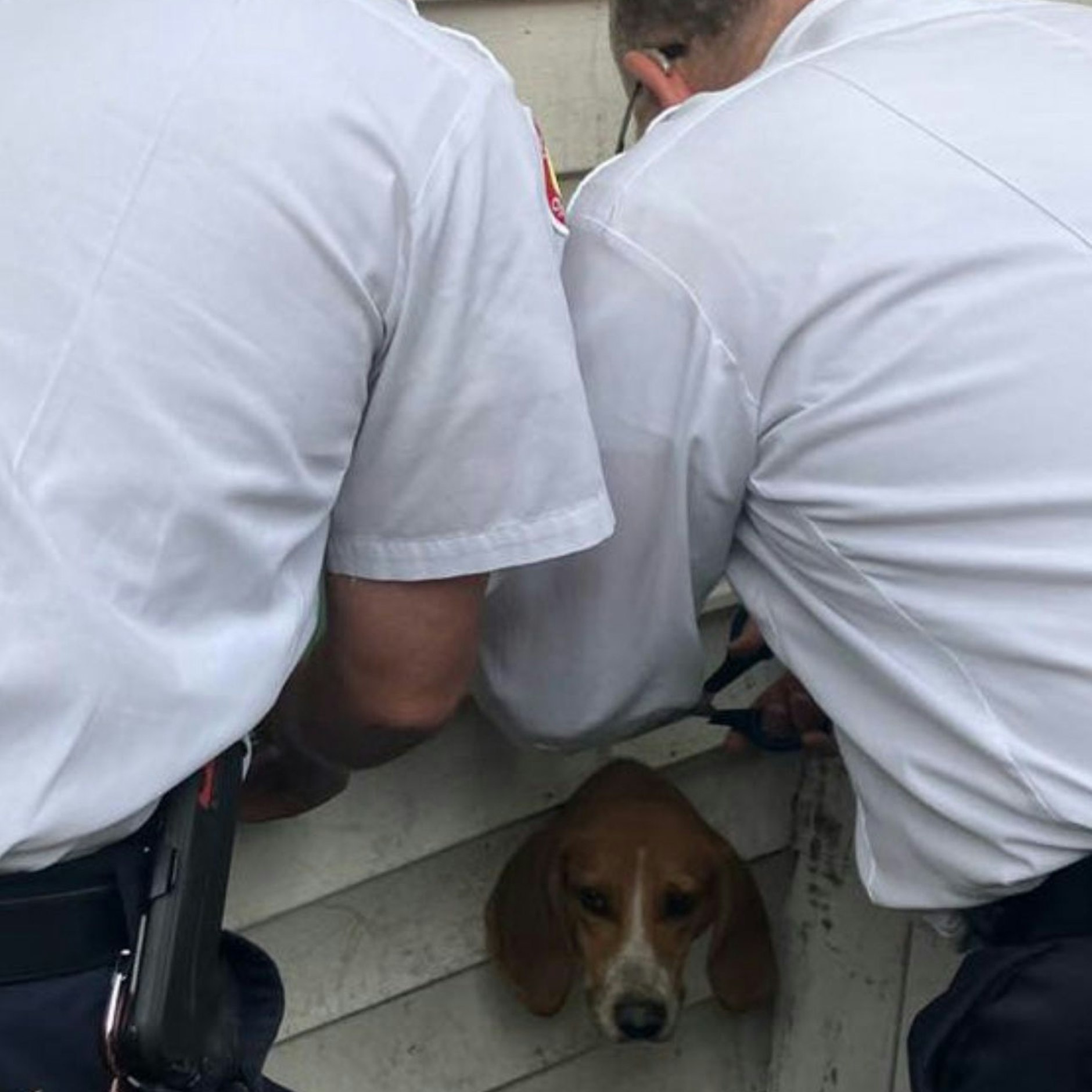 Mit vereinten Kräften machten sich Polizei und Feuerwehr an die Rettung von Hund Spike.