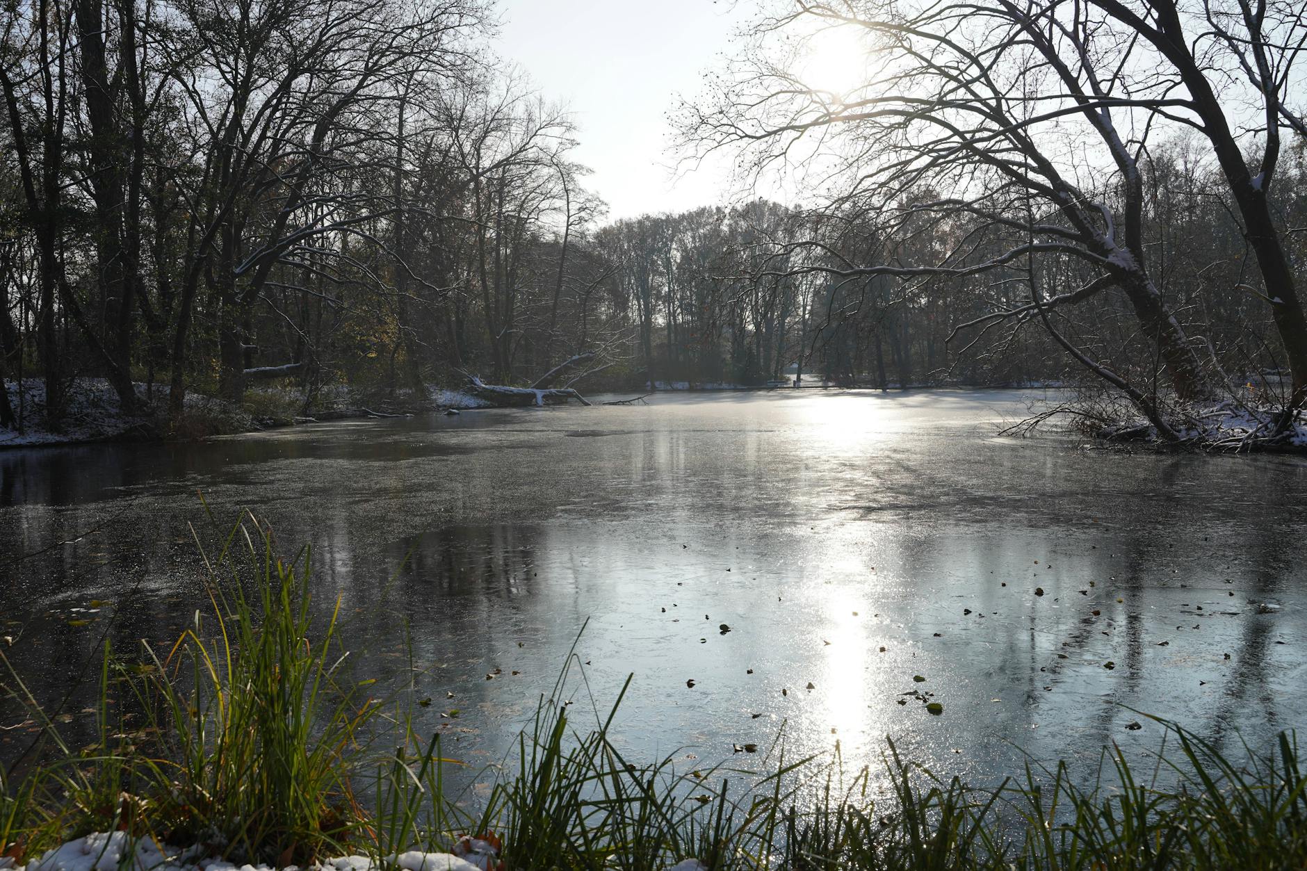 So sah ein See im Berliner Tiergarten noch am 1. Dezember aus. Doch der Schein trügt: Das Eis taut!
