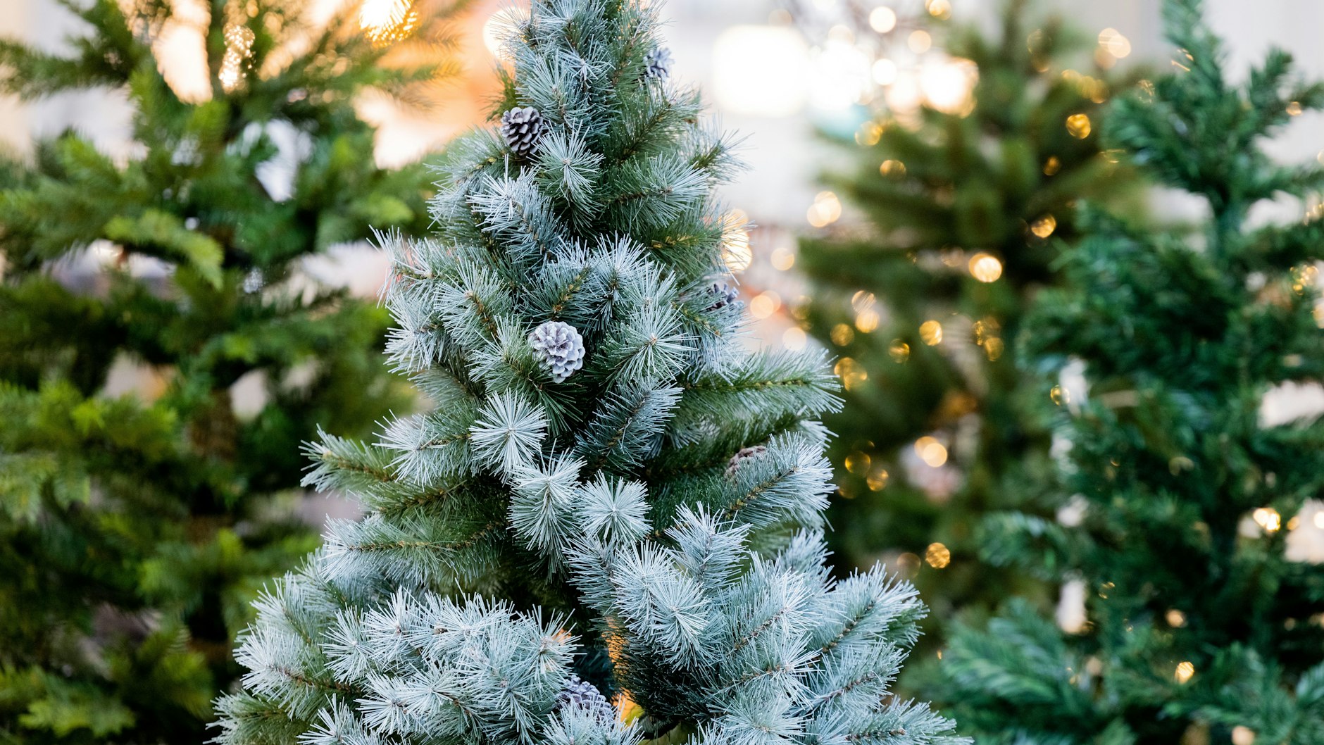 Damit ein künstlicher Weihnachtsbaum nachhaltiger ist als sein natürliches Pedant, muss er sehr lange benutzt werden. 