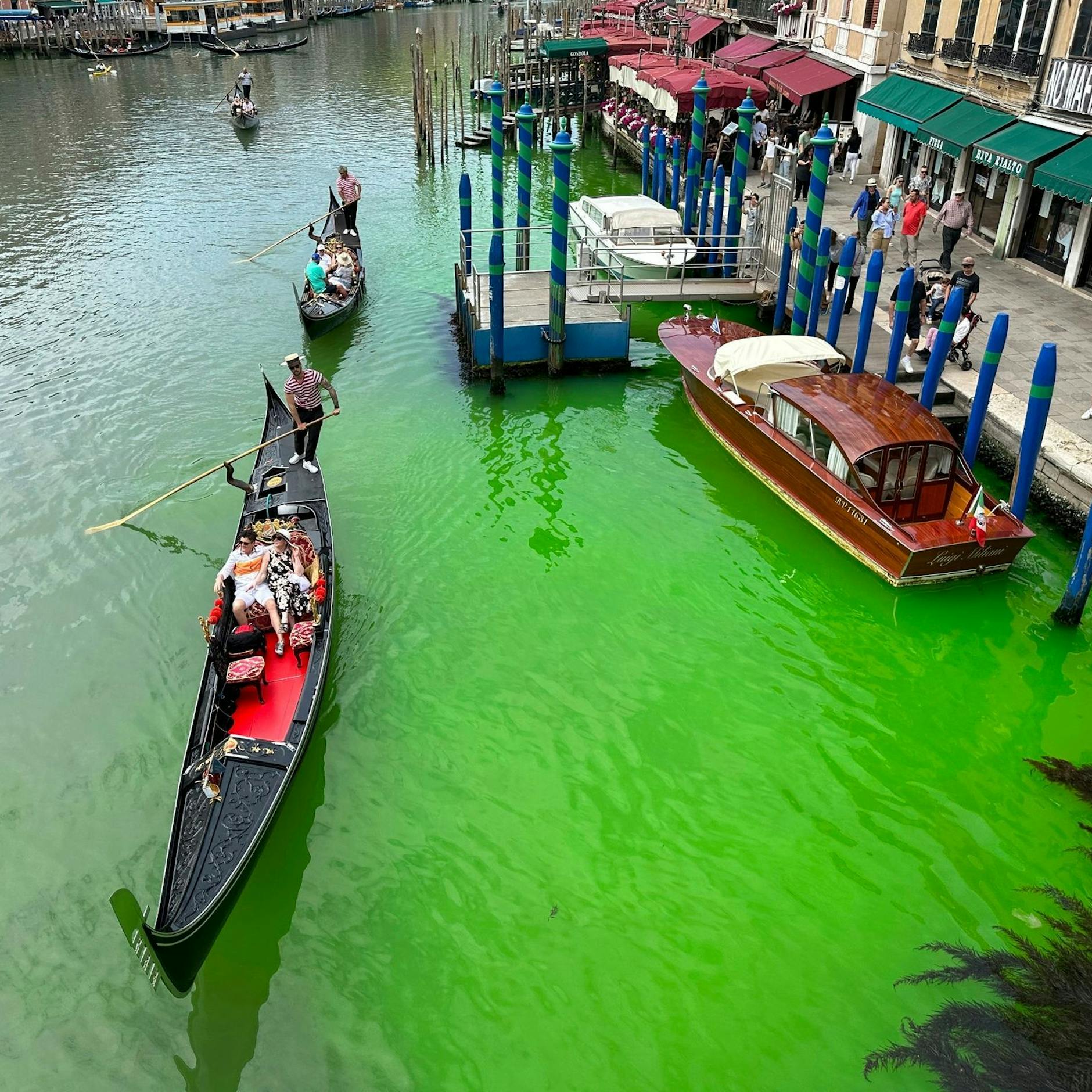 Image - Venedig: Klima-Aktivisten schütten Farbstoff in den berühmten Canal Grande