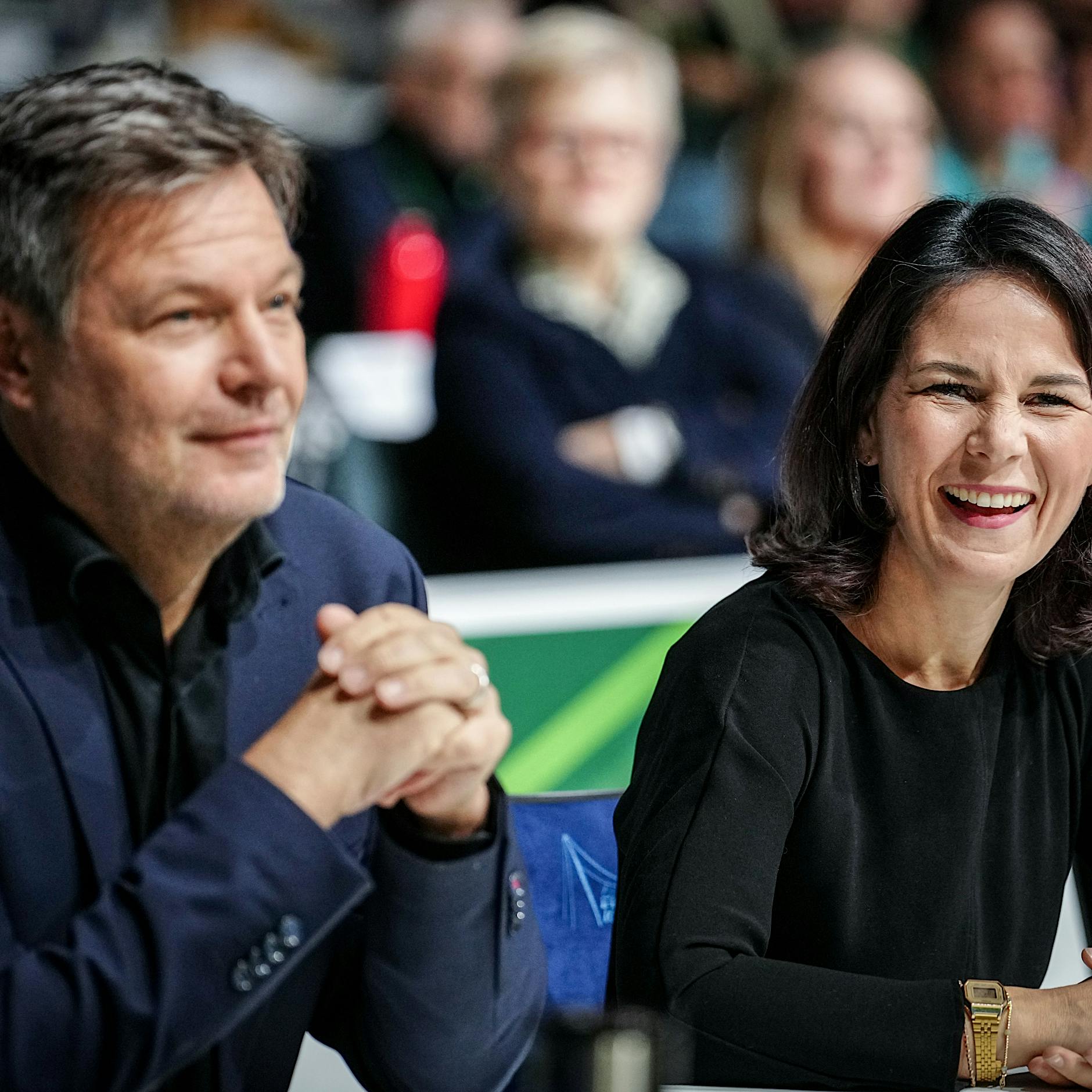 Robert Habeck, Annalena Baerbock und Co: Grüne Politik beleidigt den gesunden Menschenverstand