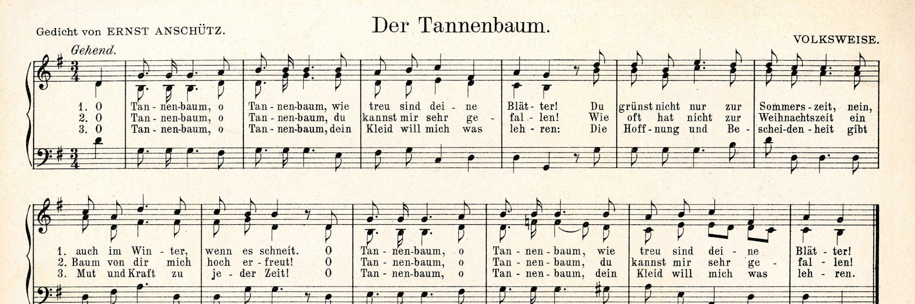 „O Tannenbaum“ Warum singen wir „wie grün sind deine Blätter“? Und