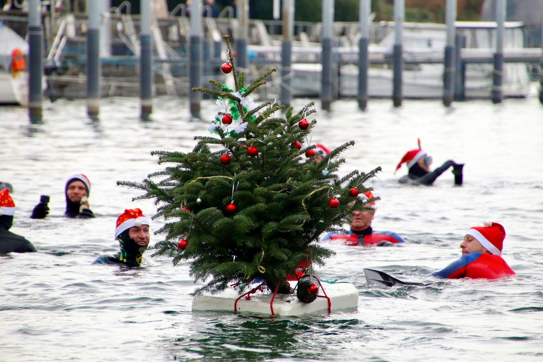 Beim traditionellen Nikolausschwimmen in Lindau haben sich zwanzig Mutige in den eiskalten Bodensee gestürzt.  