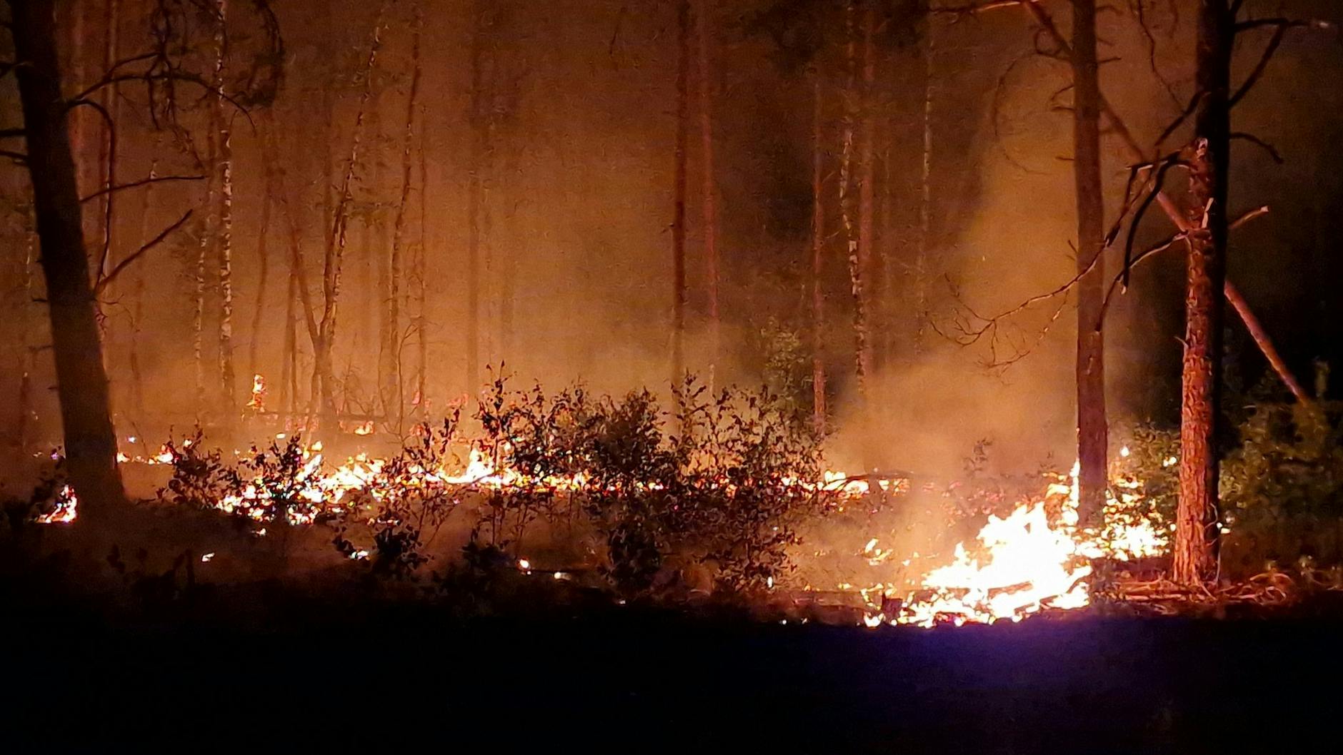 Bei Jüterbog hat es in diesem Jahr wieder einen Waldbrand gegeben.