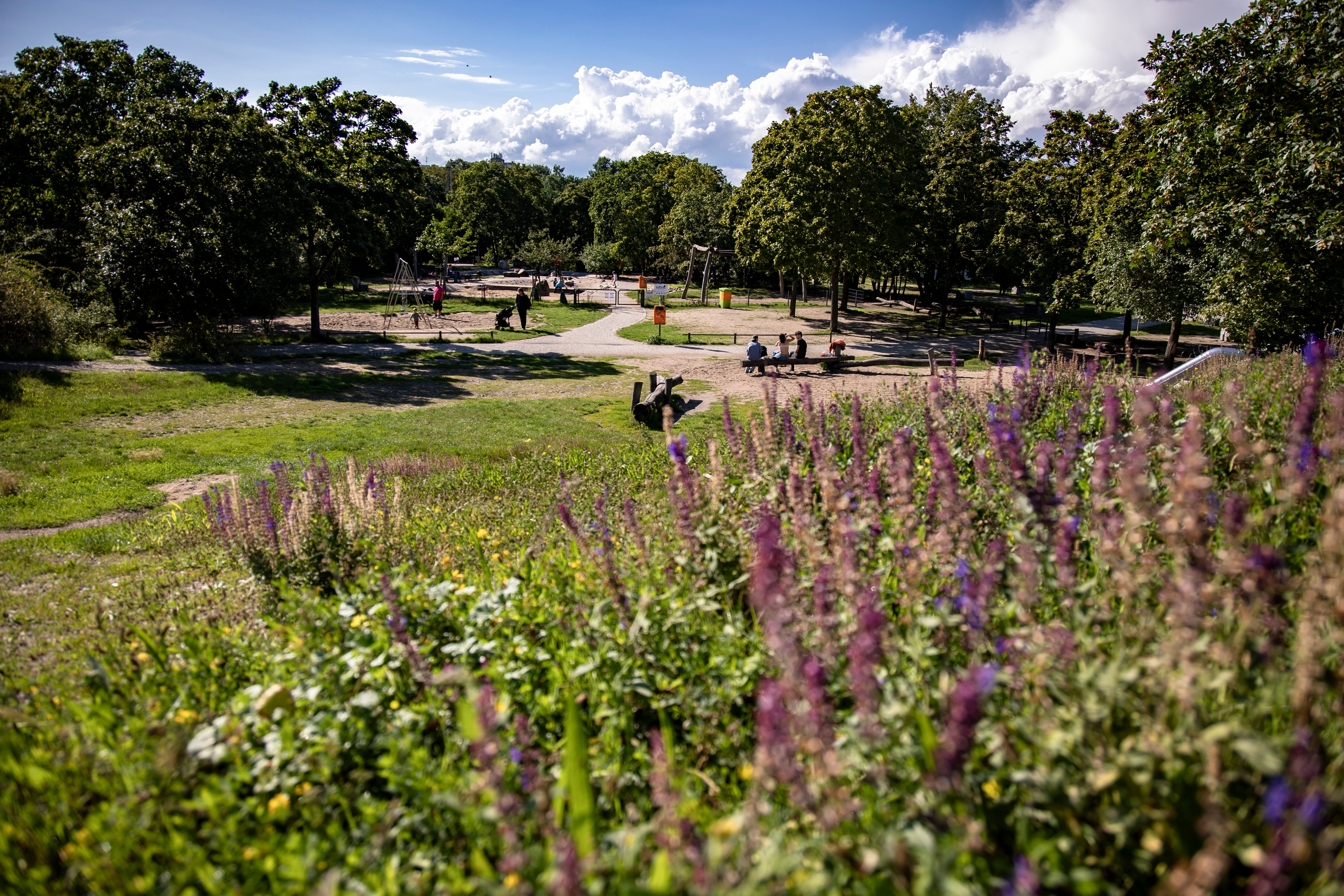 Krasser Fall im Görlitzer Park: Hund fast gestorben – weil er Junkie-Kot fraß!