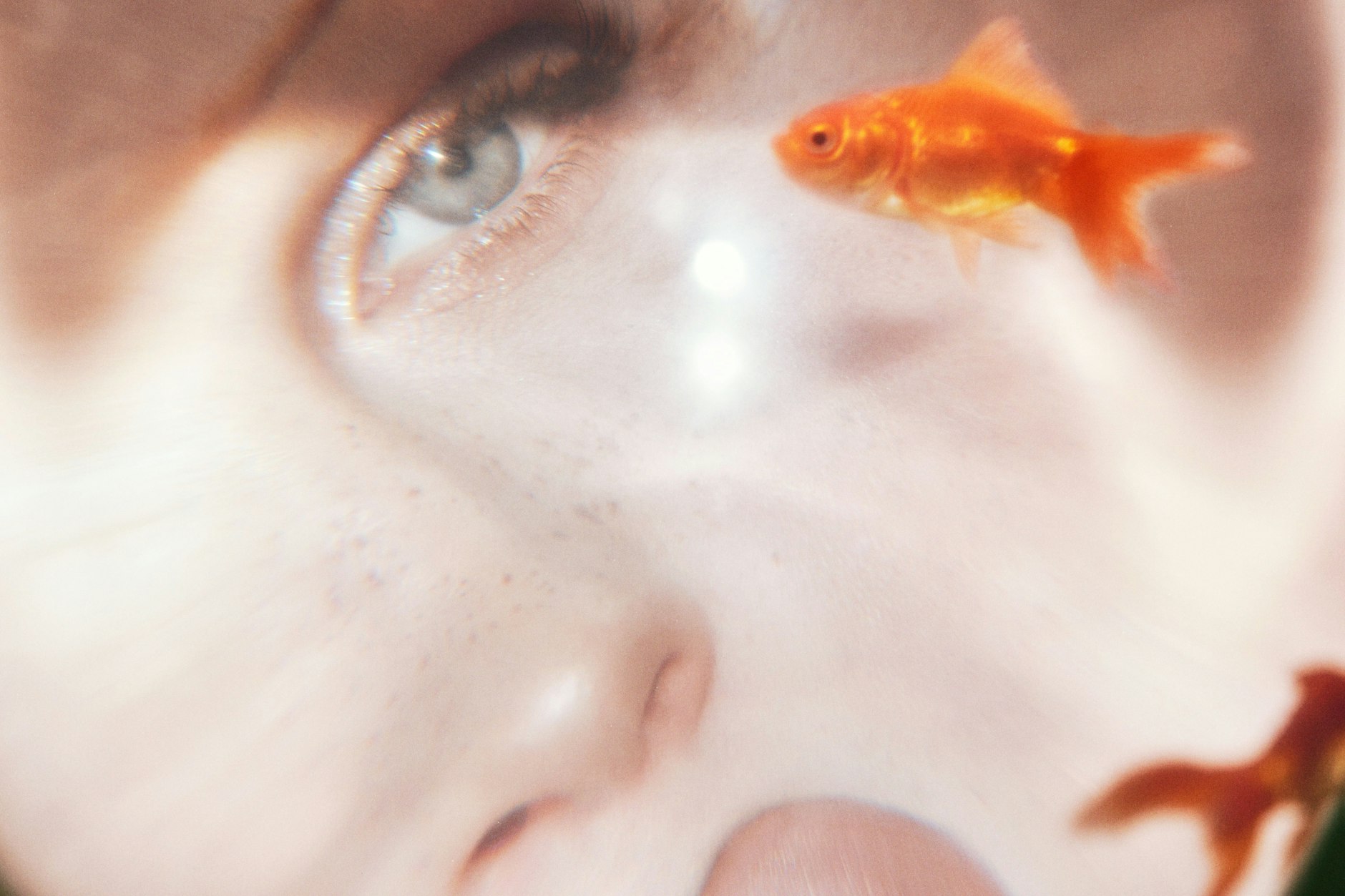 Eartheatre and a goldfish
