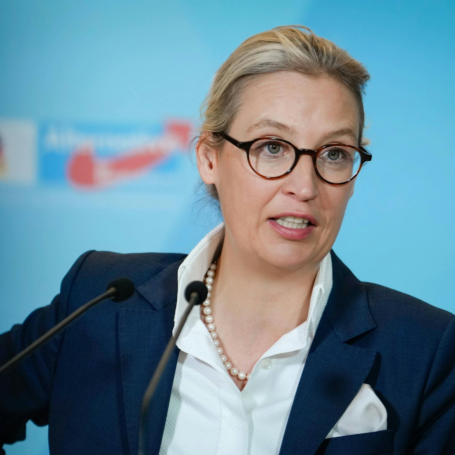 Plagiatsvorwürfe gegen Doktorarbeit von AfD-Chefin Alice Weidel
