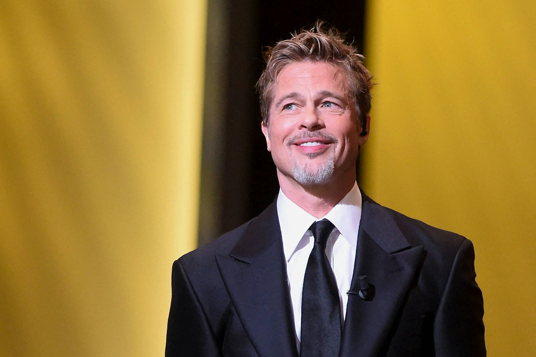 Sunnyboy, auf jeden Fall für die Kameras: Der Schauspieler Brad Pitt