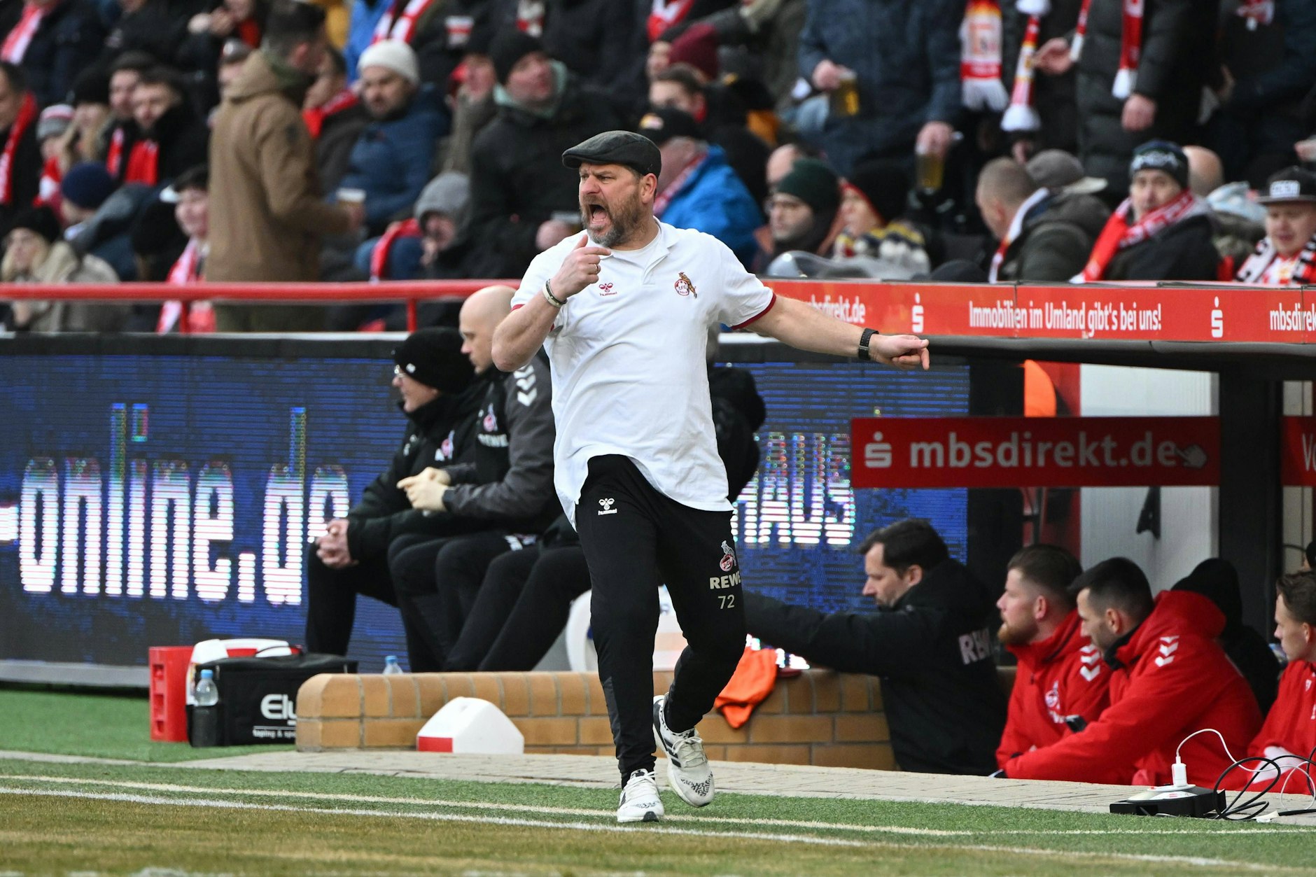 Trainer Steffen Baumgart (51) leidet beim 1. FC Köln. Für Unions Liebling soll aber auch am Mittwoch in Köpenick nichts zu holen sein. 