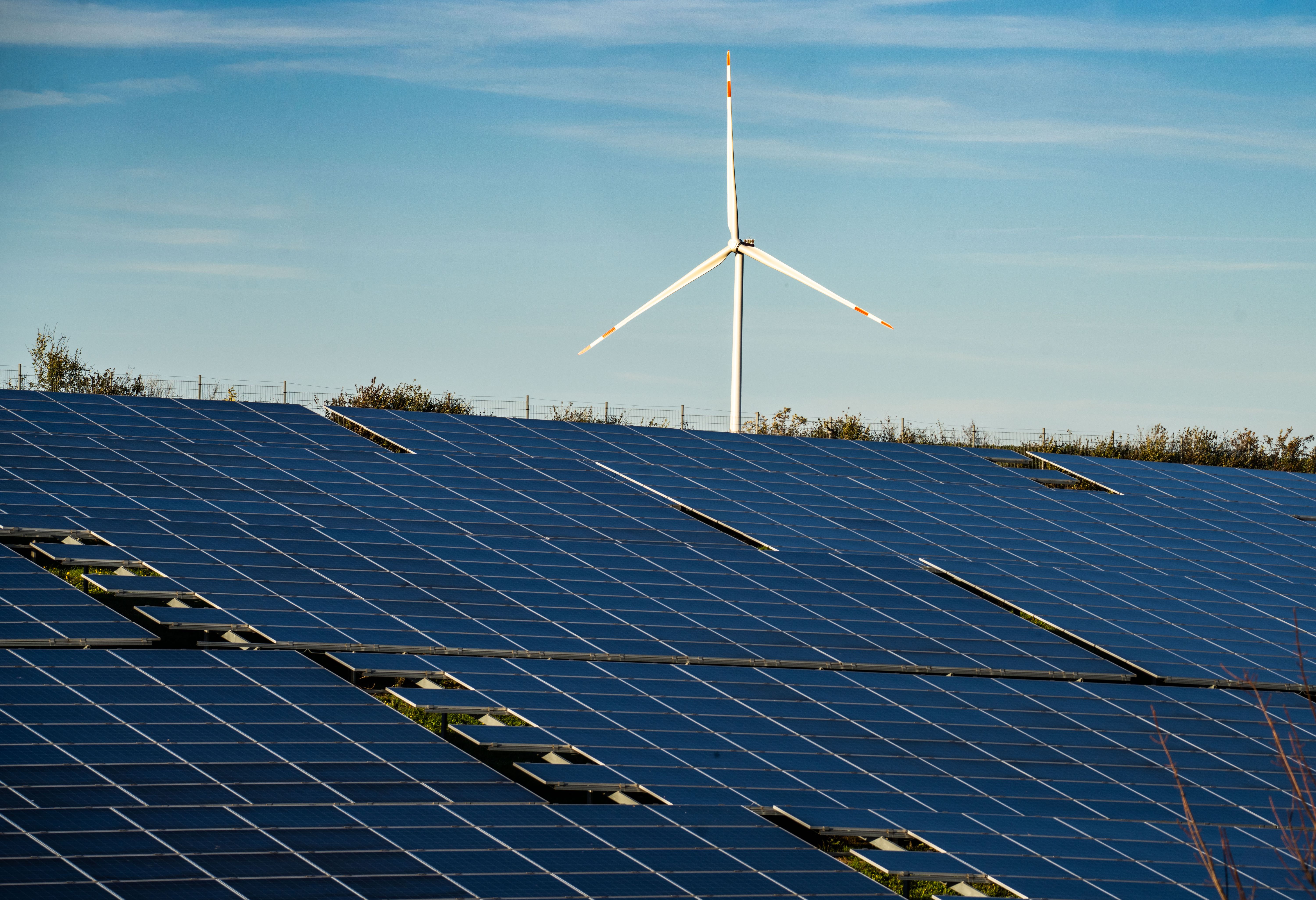 Erneuerbare Energien Decken Erstmals Mehr Als Die Hälfte Des ...