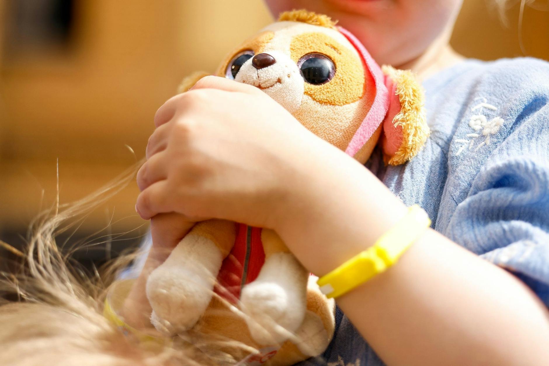 ARCHIV - Stoffhund von PAW Patrol. In Spielzeuggeschäften hat man oft die Qual der Wahl.